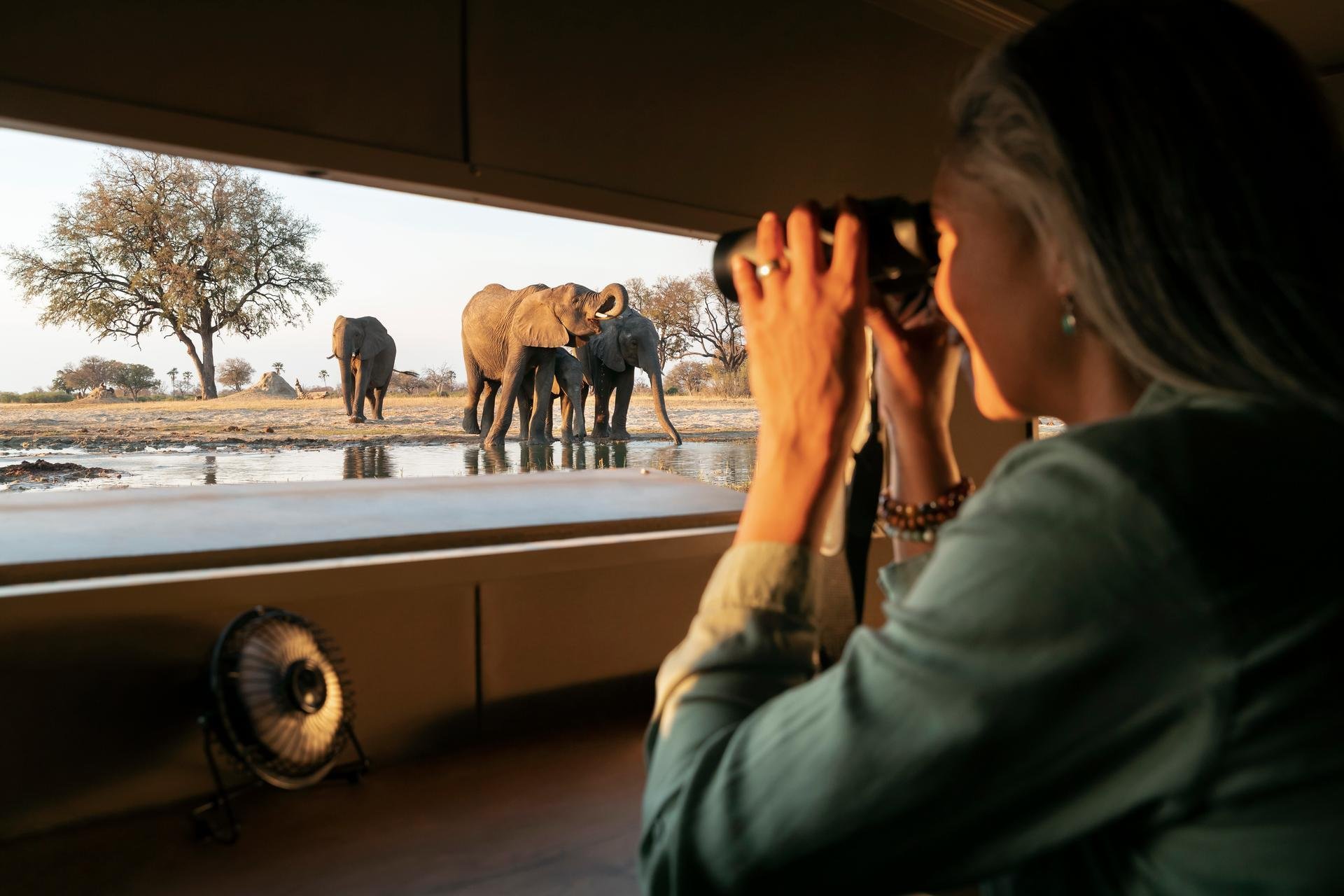 A 50-year Tradition: Participating in Hwange’s Full-Moon Game Count