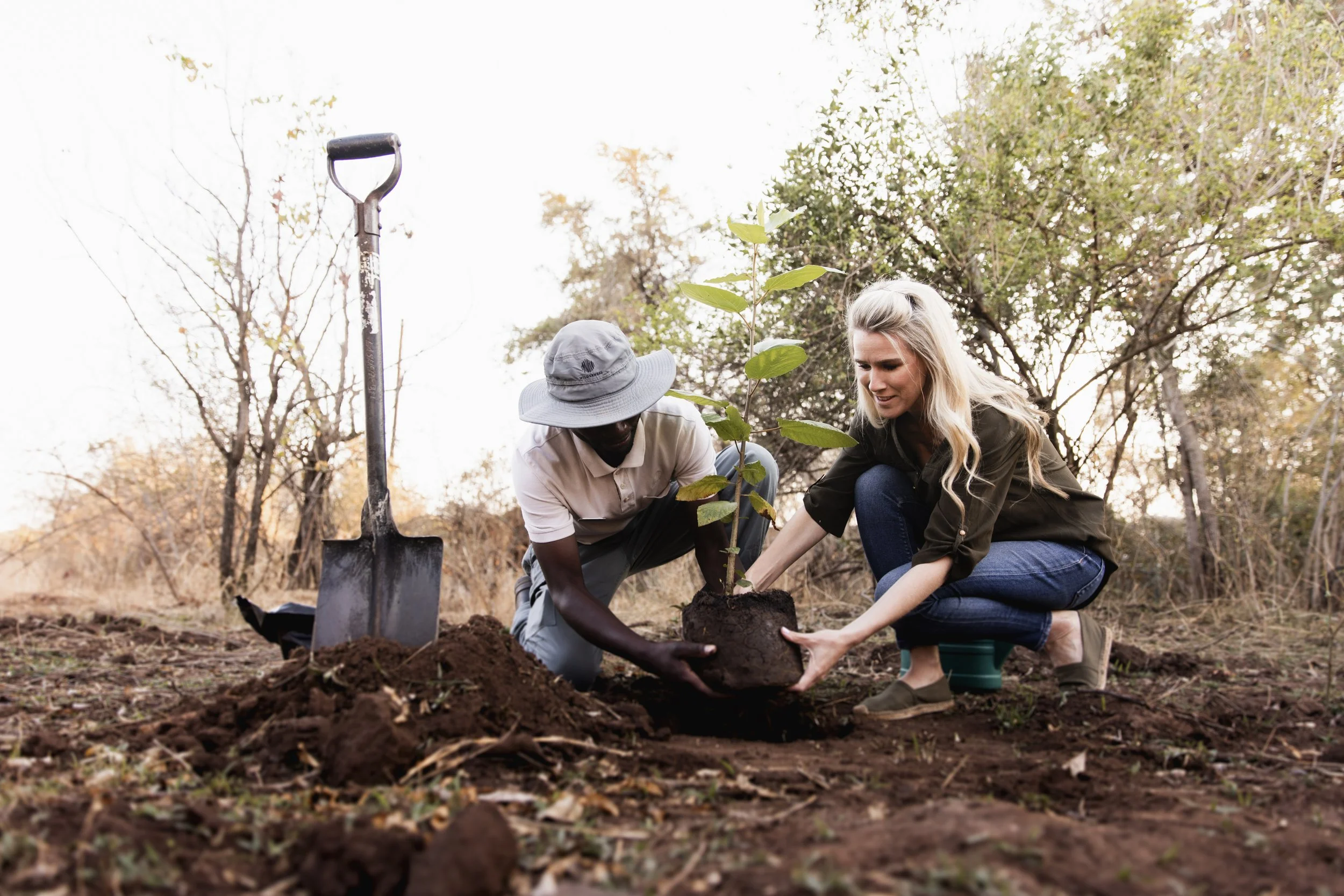 Conservation in Africa: How Your Safari Dollar Protects Wildlife and Communities