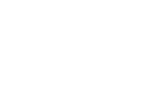 adidas.png