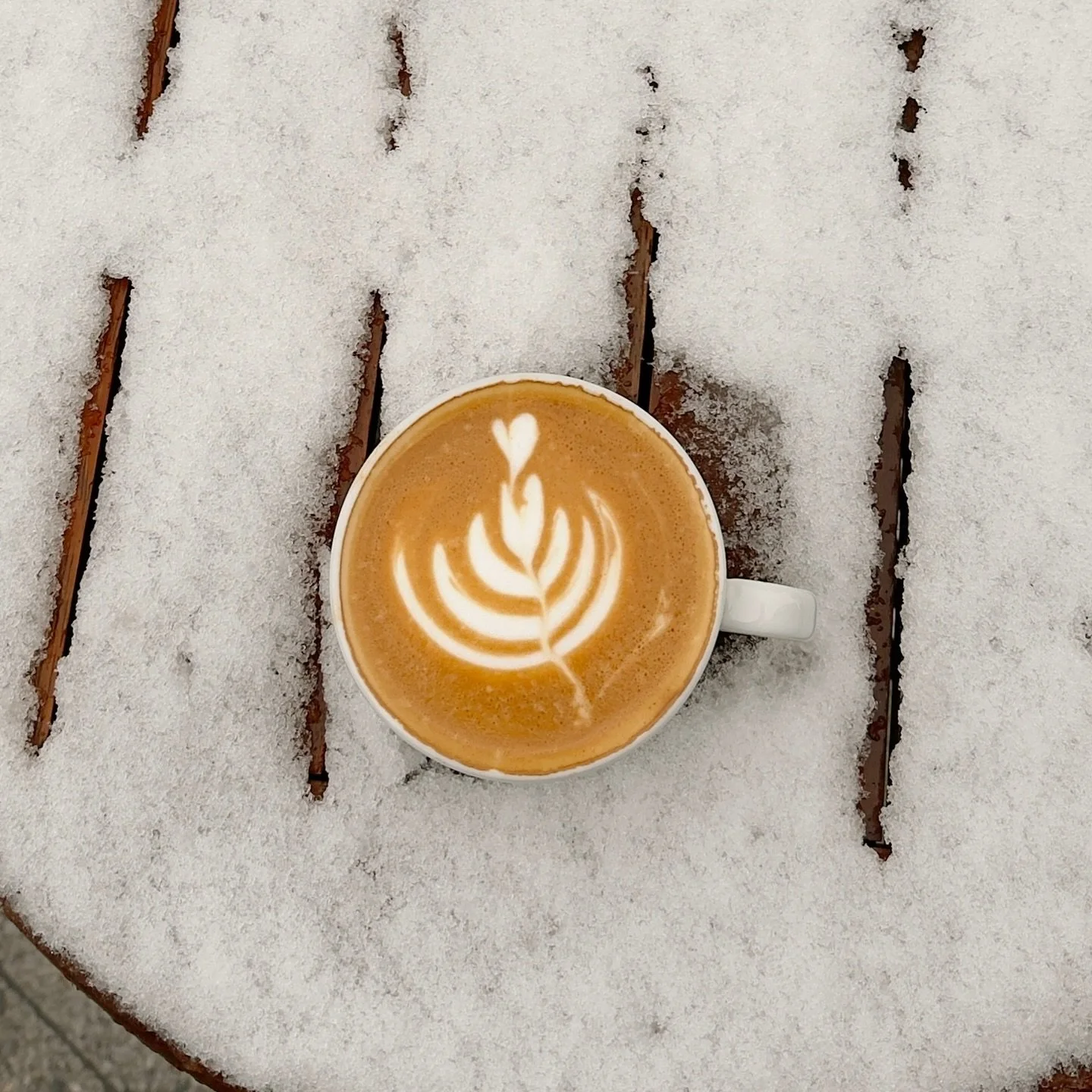 When your coffee looks like this, then like that! 
Spring weather in Bend is in full swing! 😅☕️ 

#coffee #coffeeculture #local #smallbusiness #locallyroasted locallyroastedcoffee coffeeroaster bend bendoregon oregon pnw supportsmallbusiness support