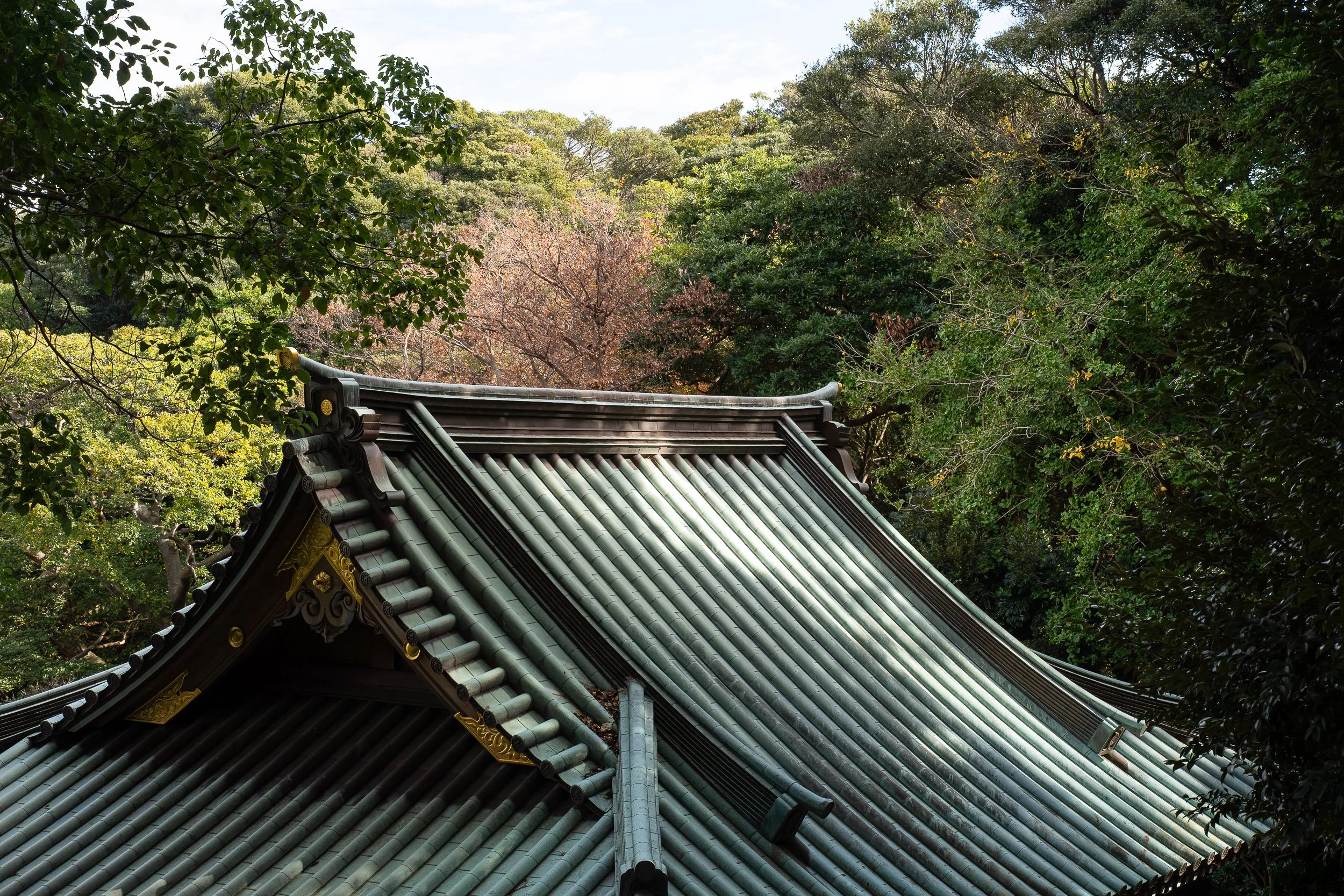 enoshima-roof.jpg
