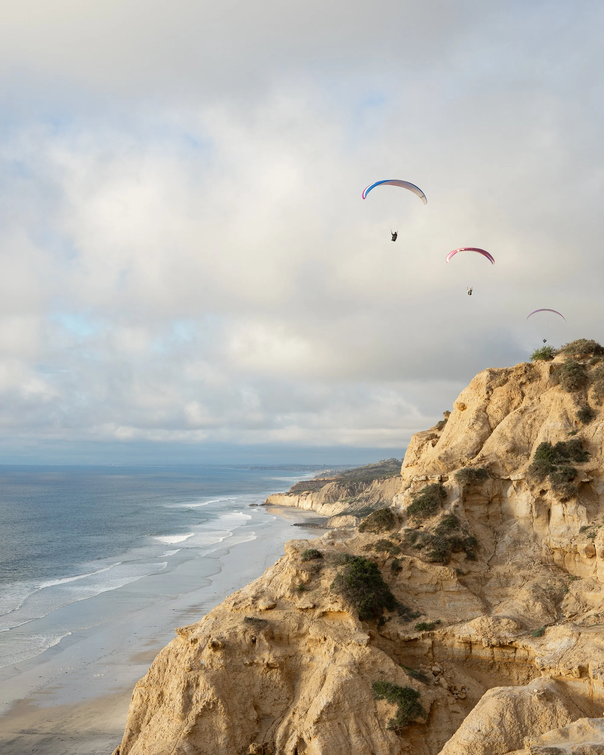 gliders-web-print.jpg