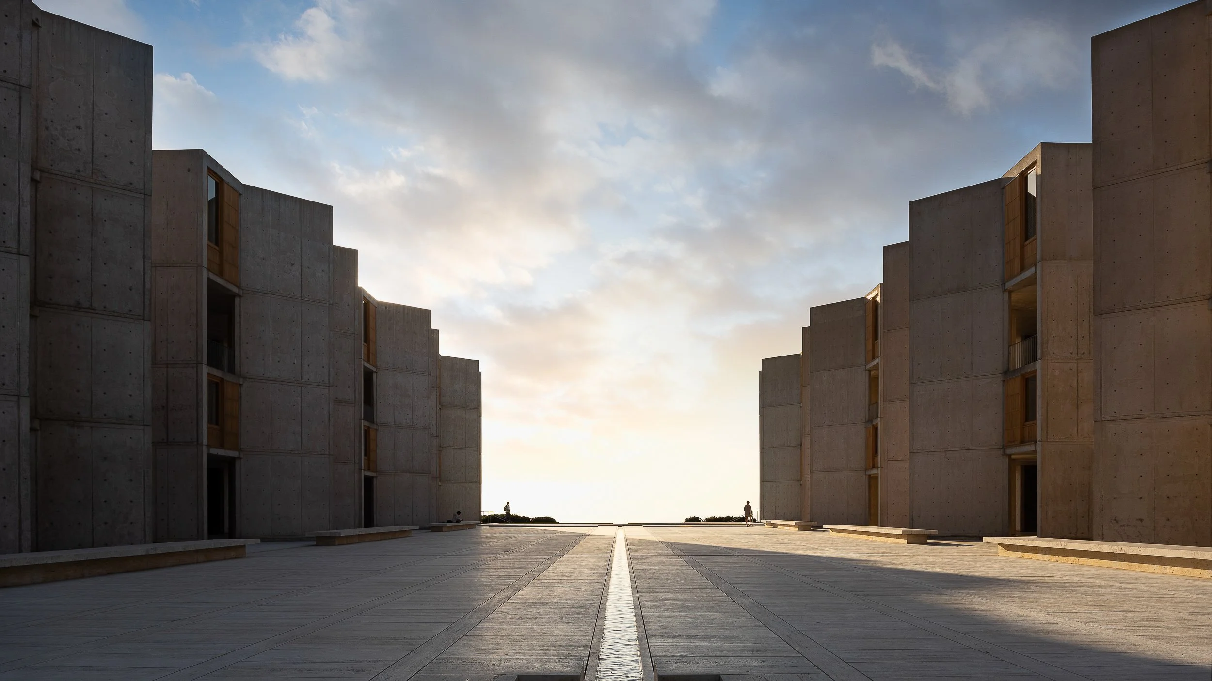 salk-web-print.jpg