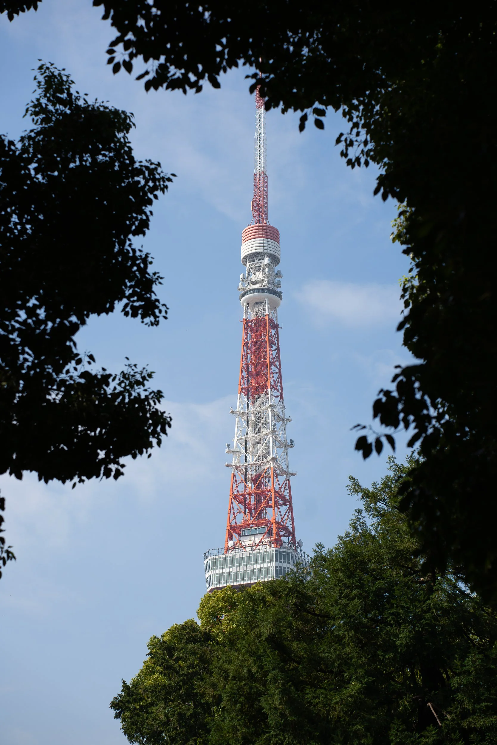 tokyo-tower-trees.jpg