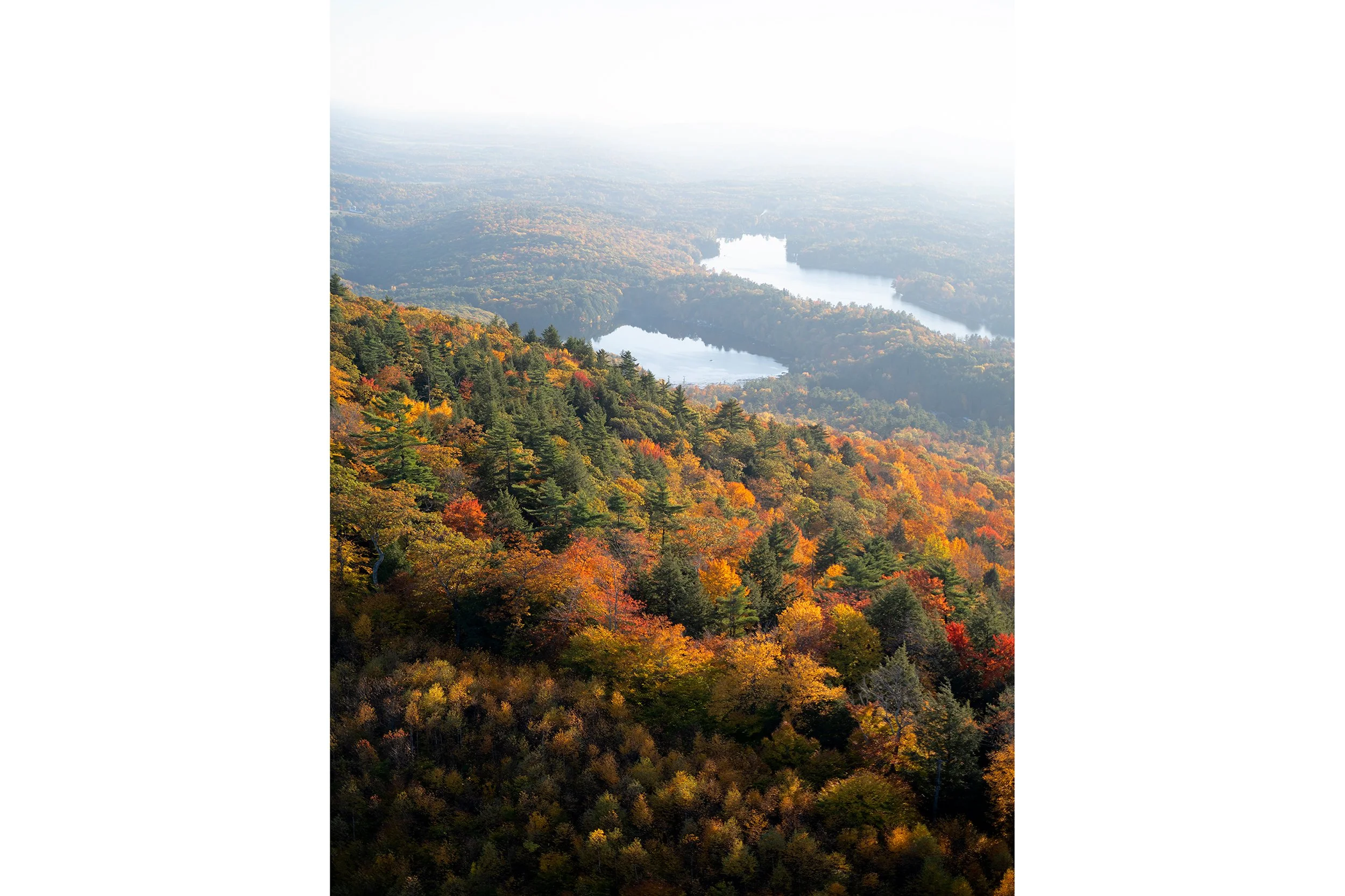 Adirondacks_7_42x50u.jpg
