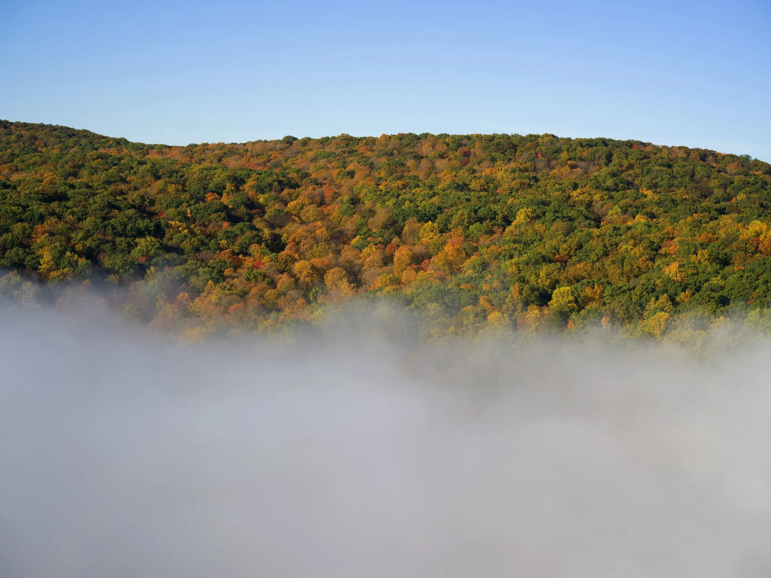 Catskill_moutain_fog_1.jpg