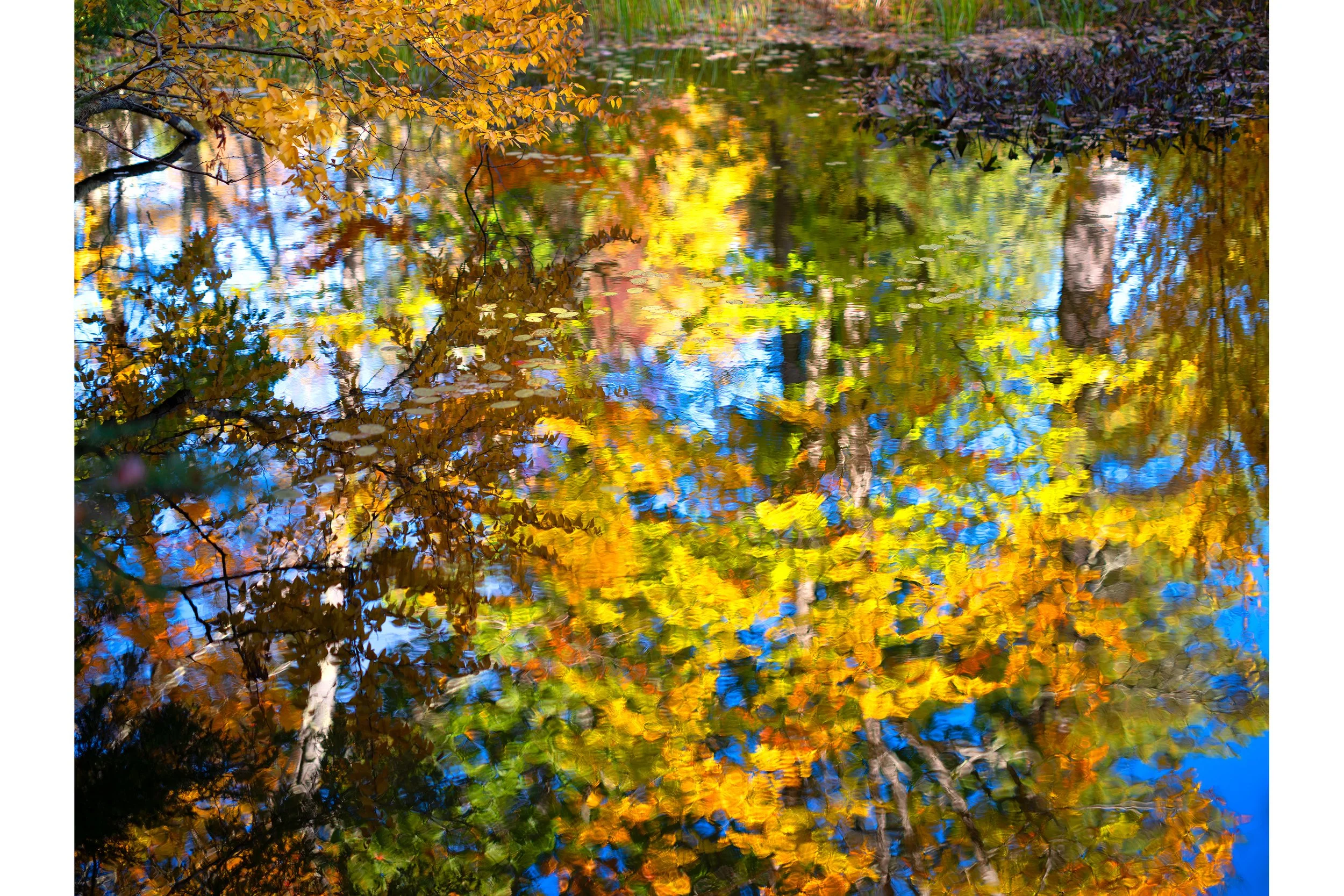 Fall_Pond_3_50x38.jpg