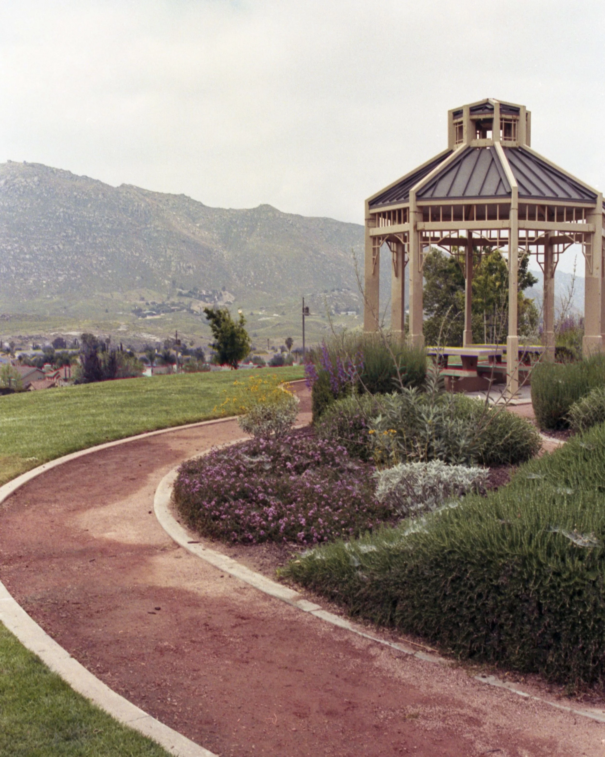 rlc5_35mm_20240508_09.jpg