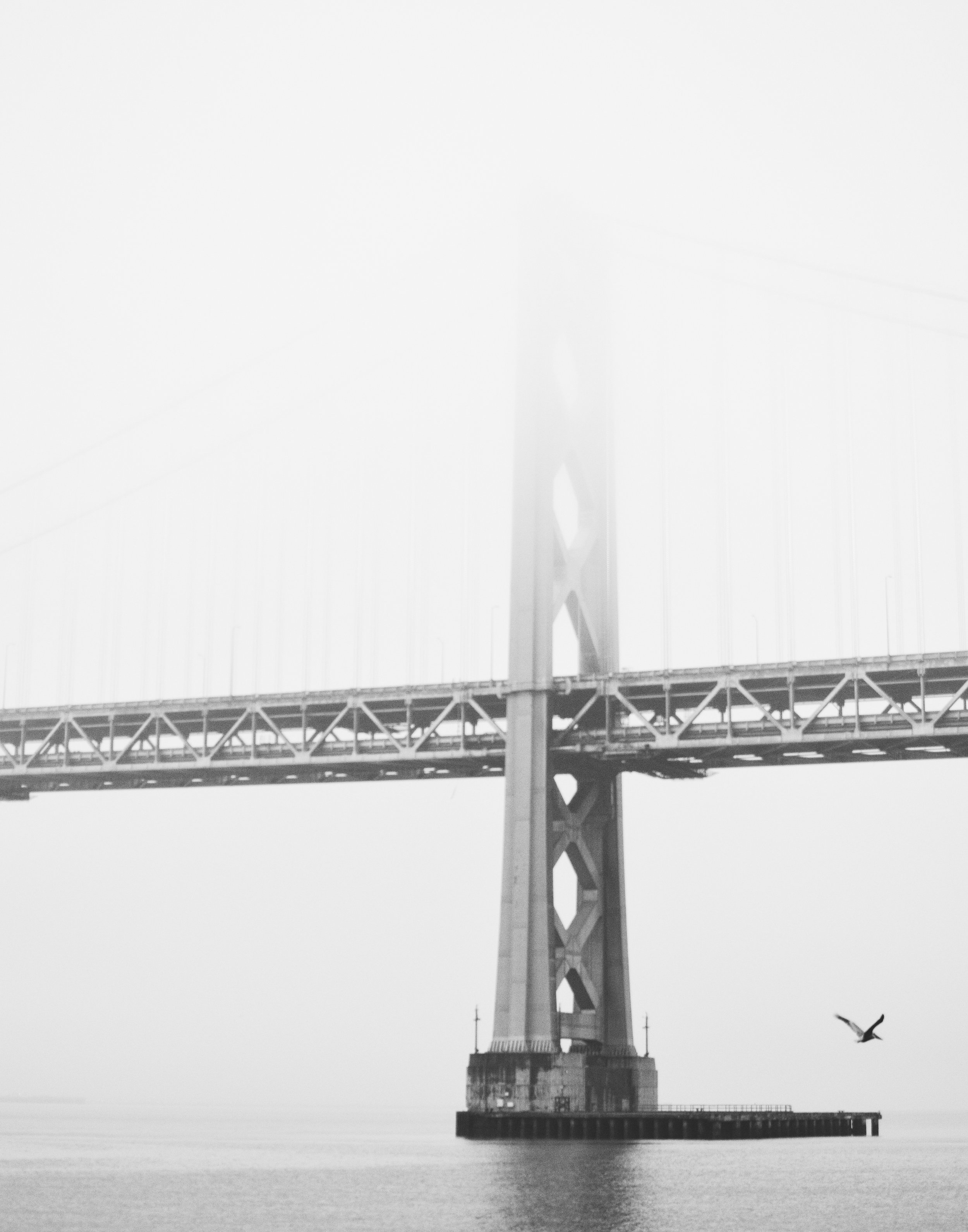 DSC_0168.jpg