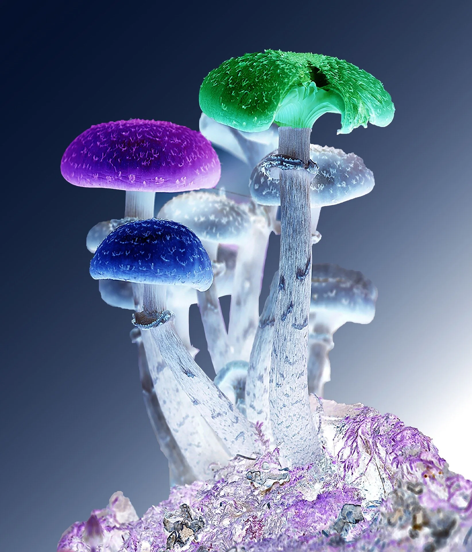 photoshop-2662636_1920.jpg