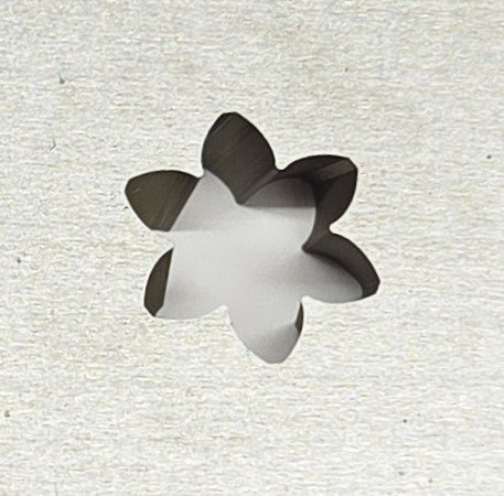 20260519_134702.jpg