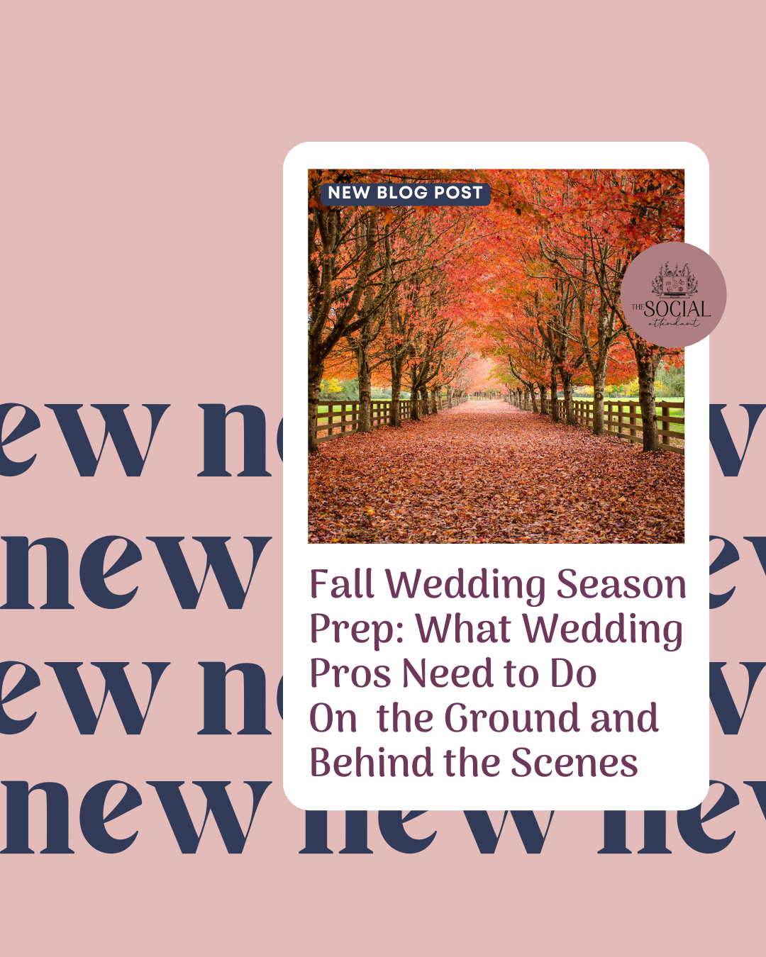 Fall Wedding Season Prep: What Wedding Pros Need to Do On the Ground and Behind the Scenes