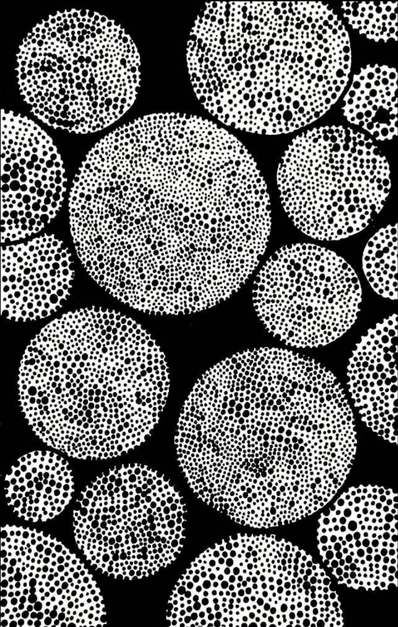 “Circle of Dots“