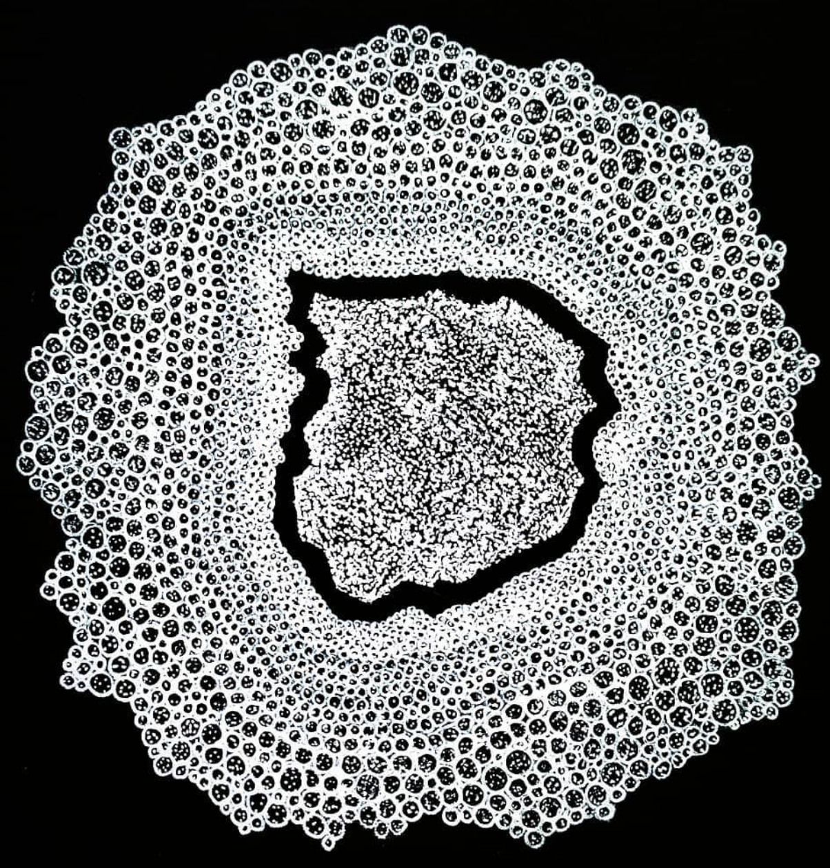 “Under the microscope“