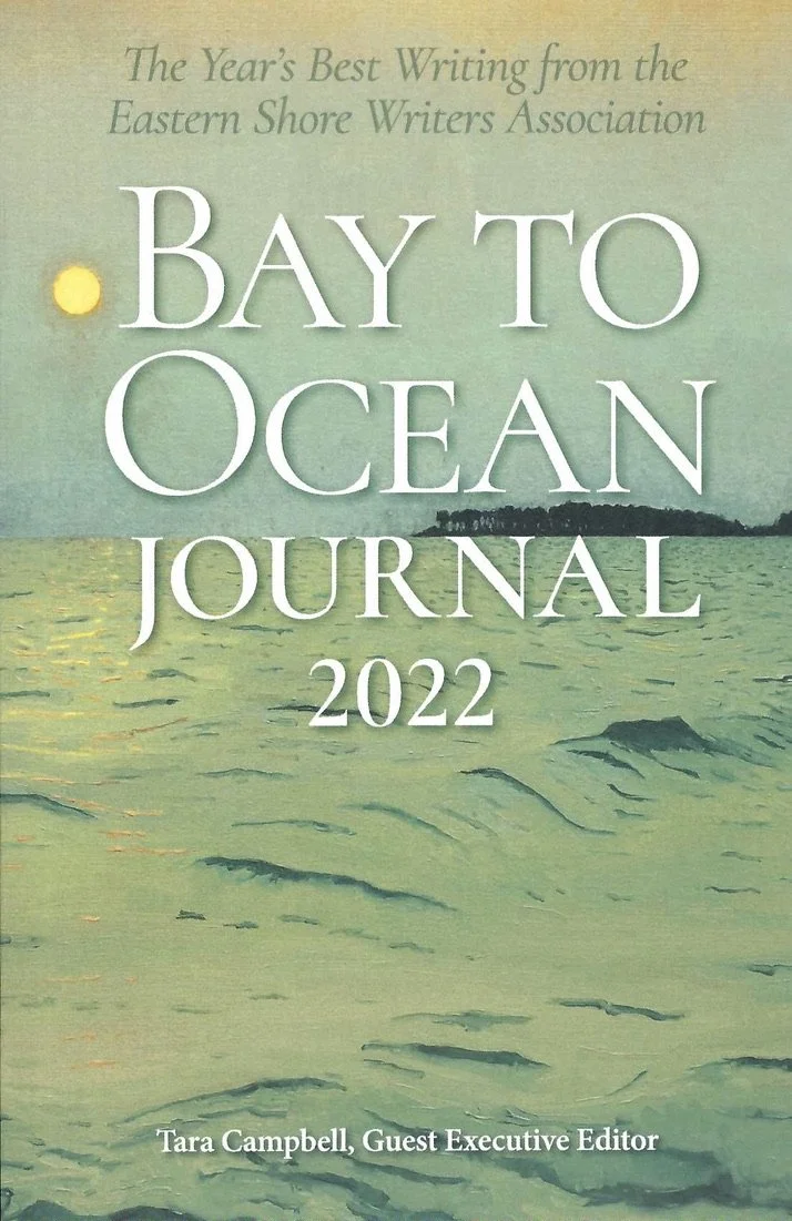 Bay to Ocean 2022.jpeg