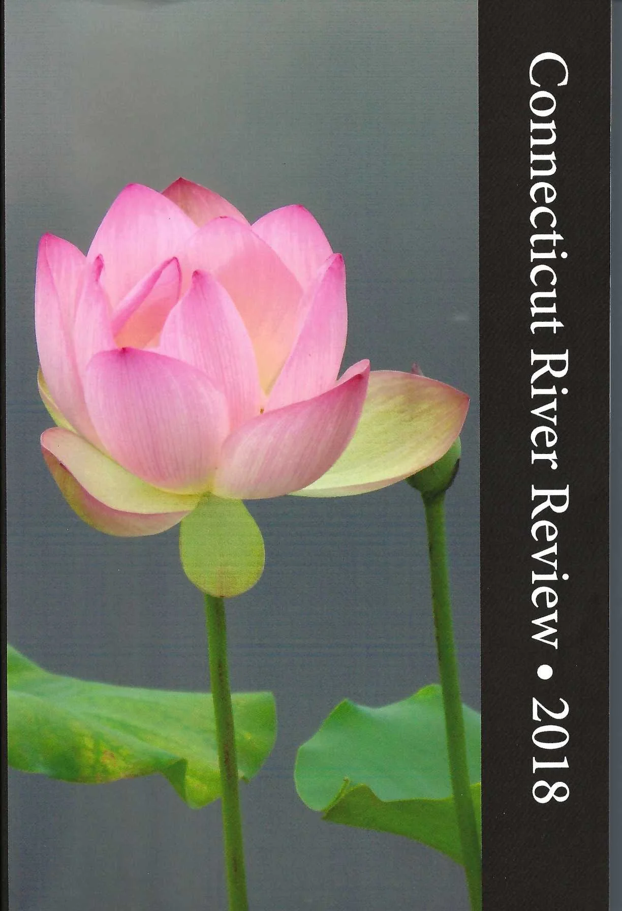 Connecticut Review 2018.jpeg