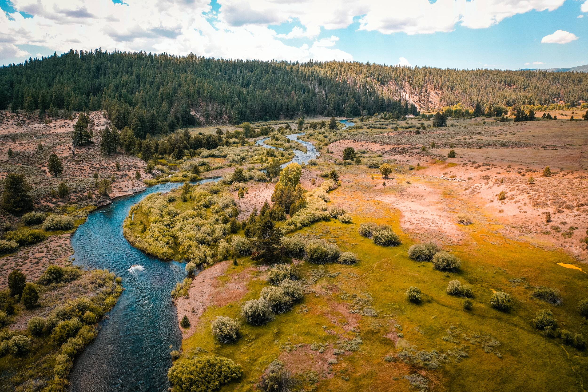 Opinion: What Upland hunting can learn from Fly Fishing
