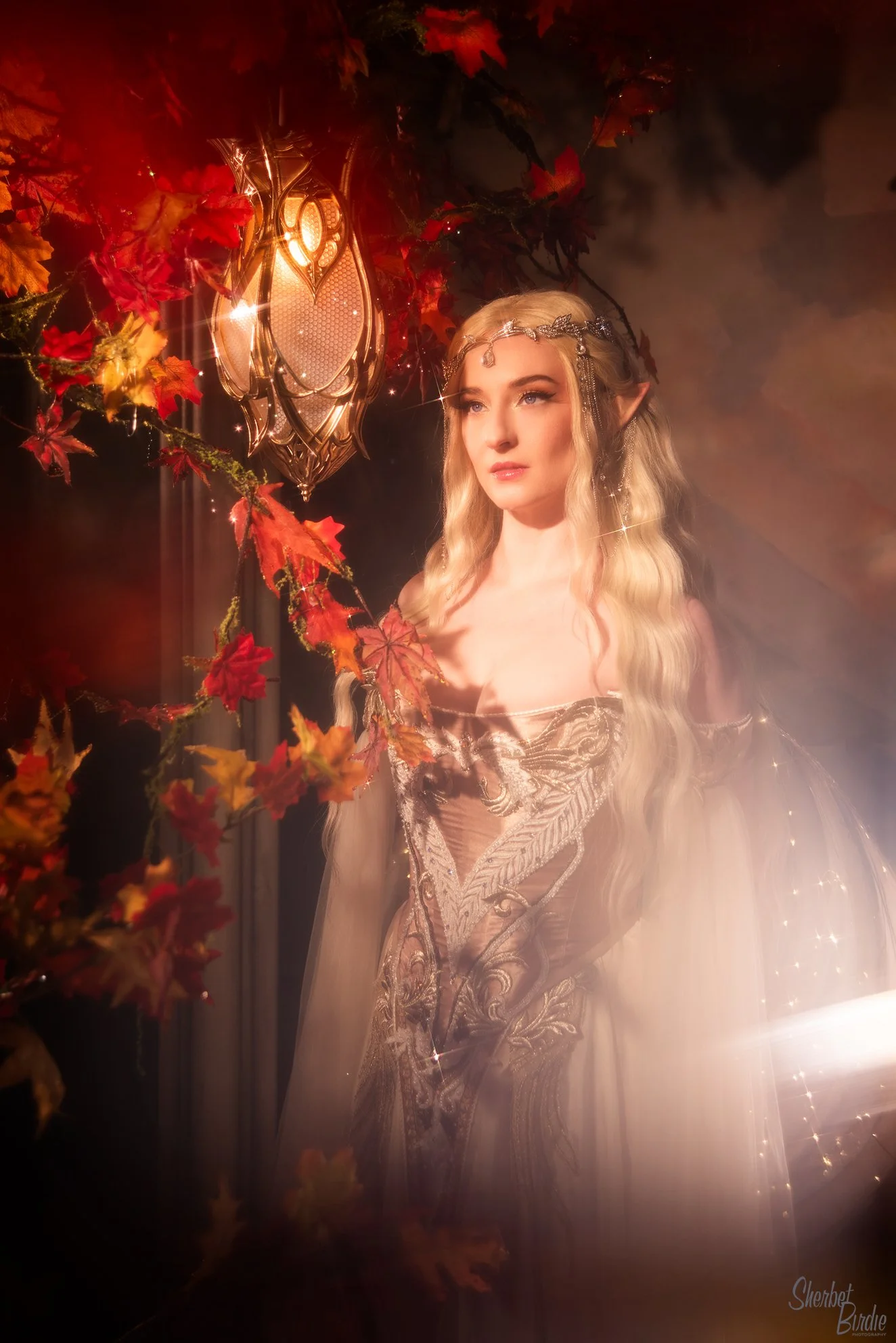 sherbet-birdie-premium-photoshoot-fae-fairy-sydney-11.jpg