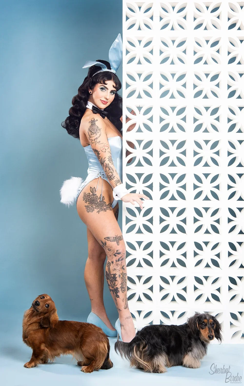 sherbet-birdie-classic-photoshoot-playboy-bunny-sydney-33.webp