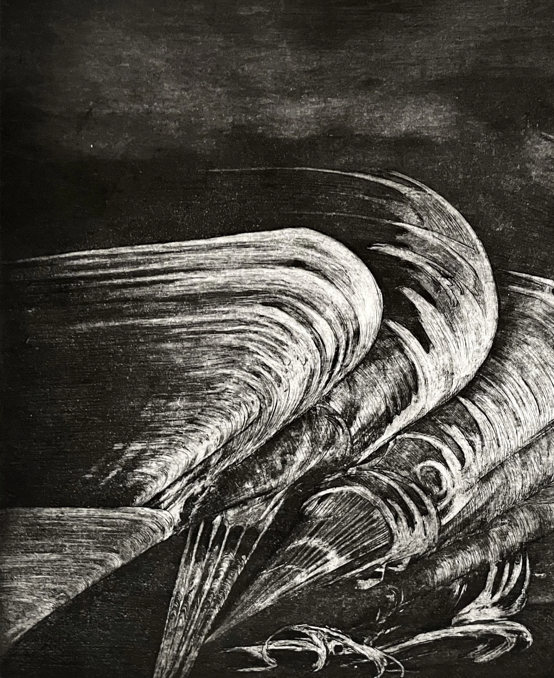 sm 1 No. 052526.20.jpg