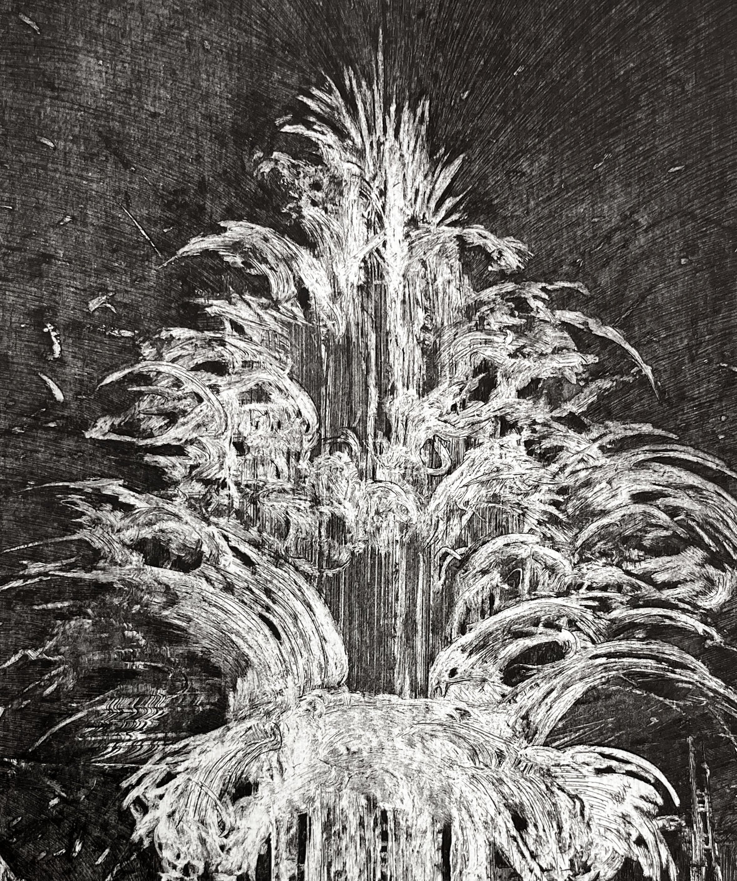 sm No. 050126.2.jpg