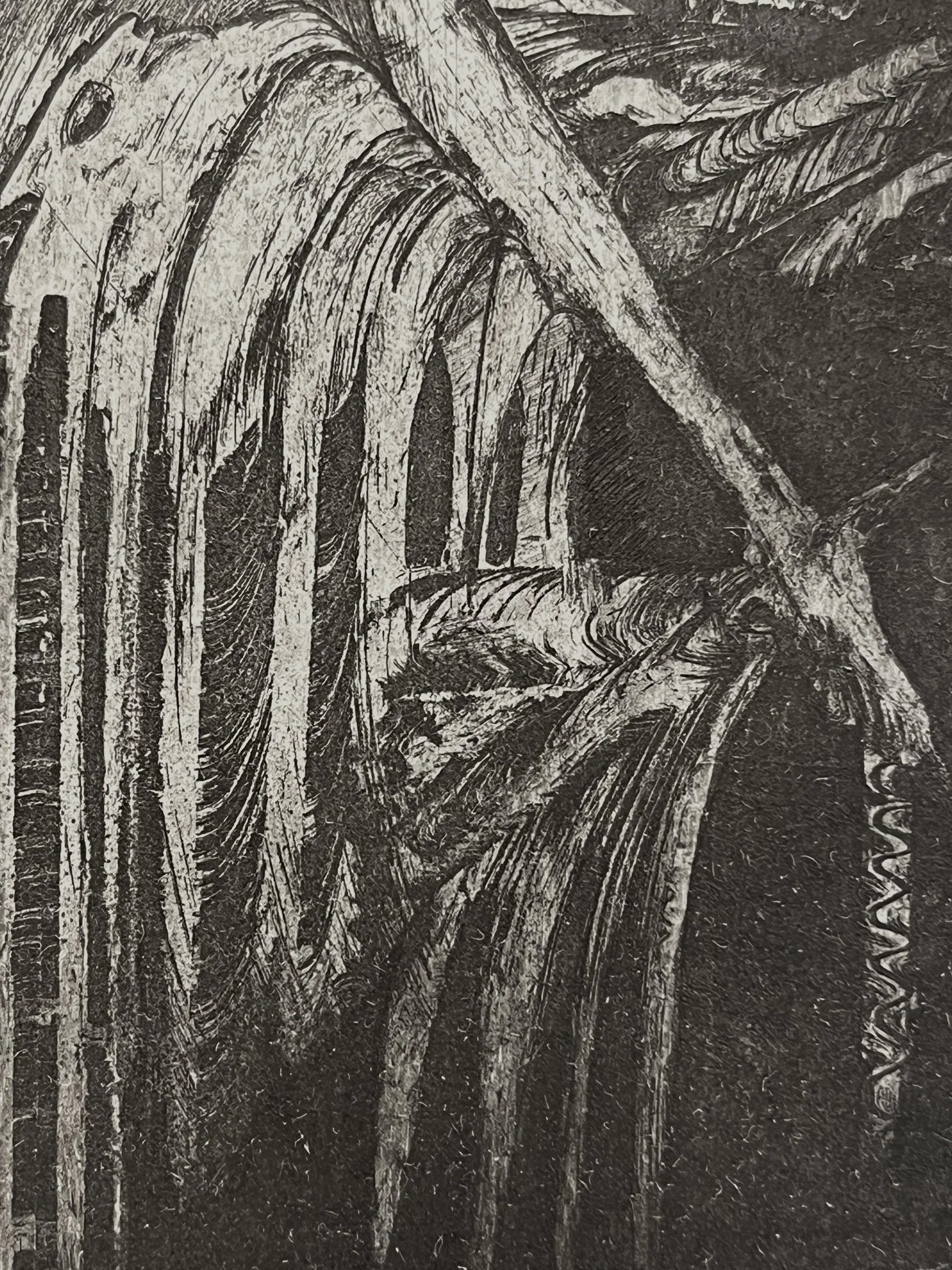 detail 1.jpg