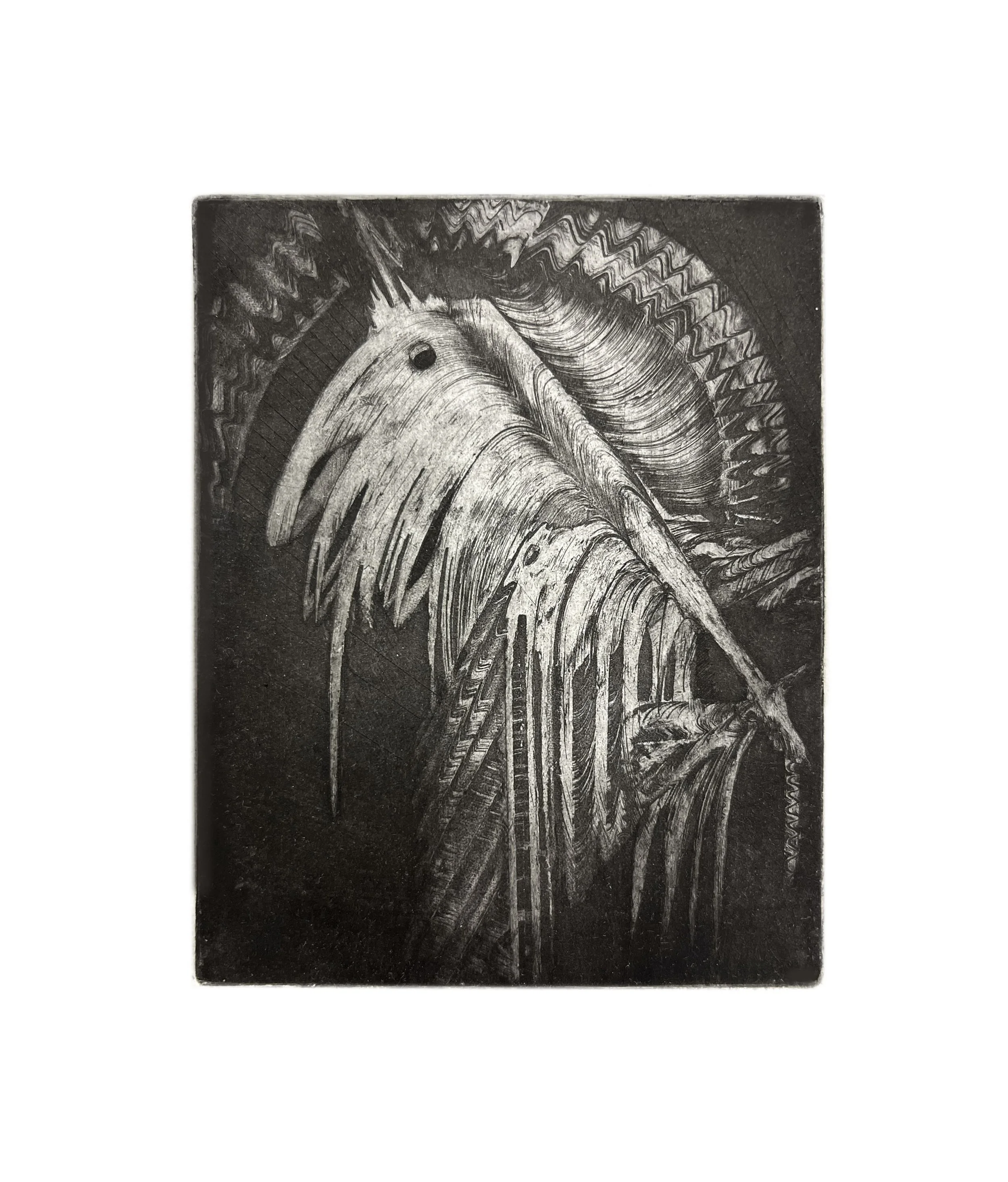 No. 010426.3, Aquatint Etching, 2026, 28 × 20 cm.