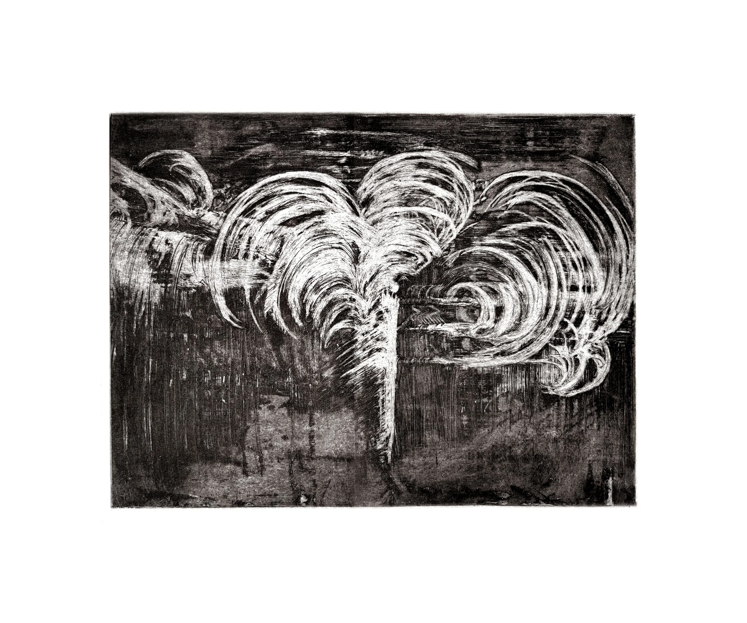 No. 052226.3, Aquatint Etching, 2026, 25 x 34 cm.

Artist Proofs held in the collection of Fondazione II Bisonte - per lo studio dell'arte Grafica, Florence, Italy