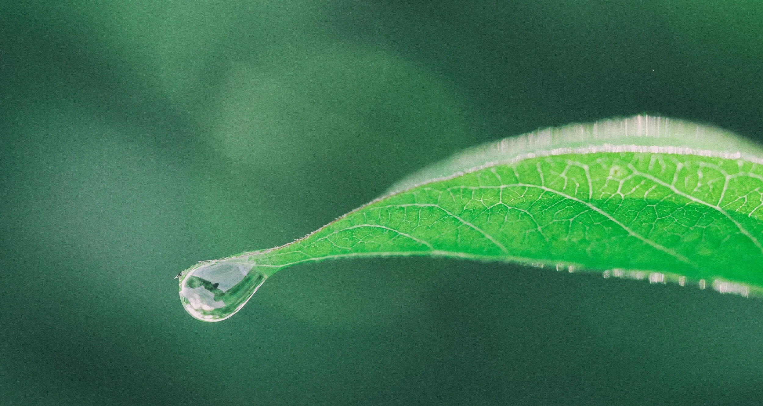 Other journal post title