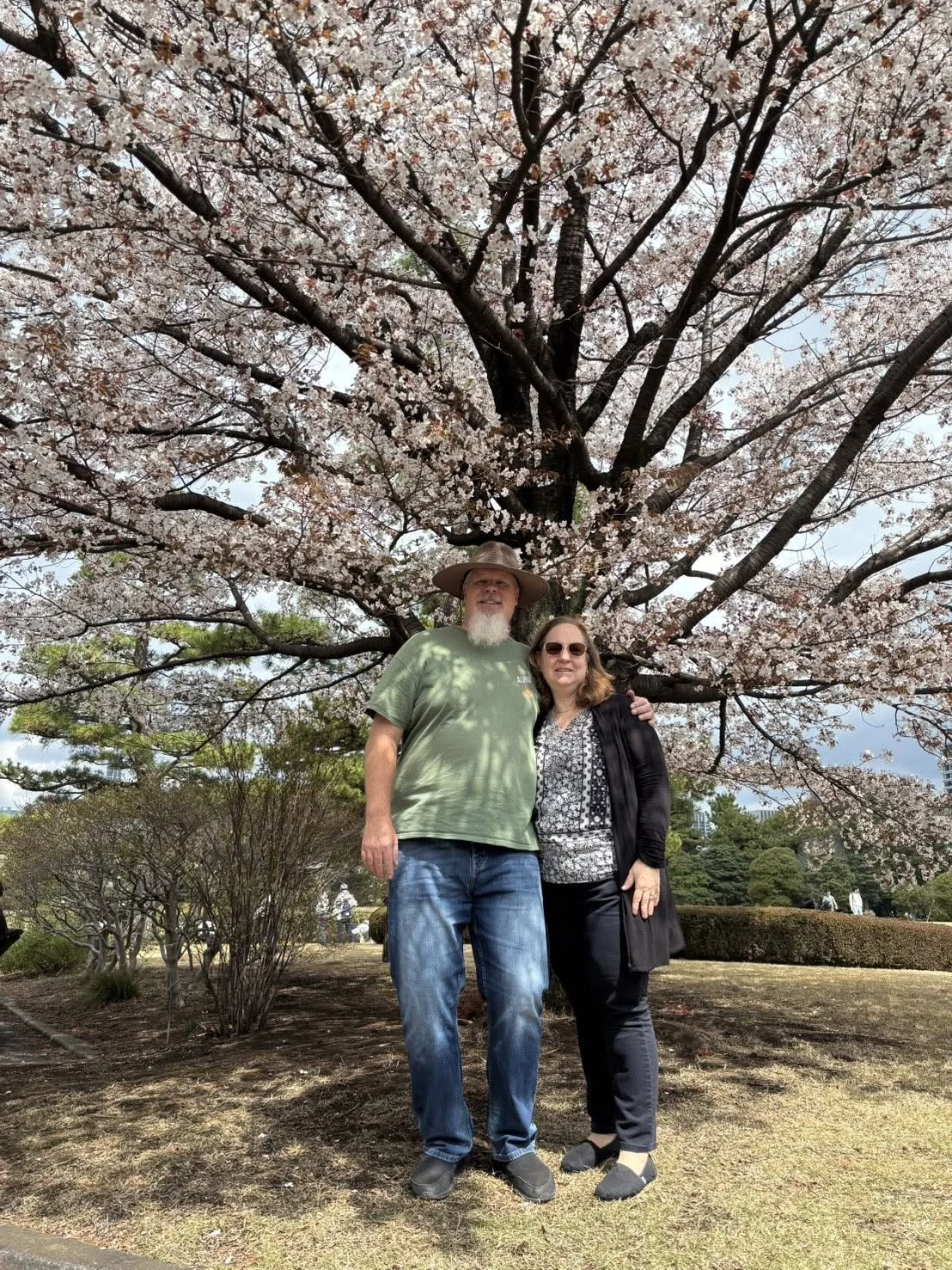 Japan Travel Planning & Cruise Coordination