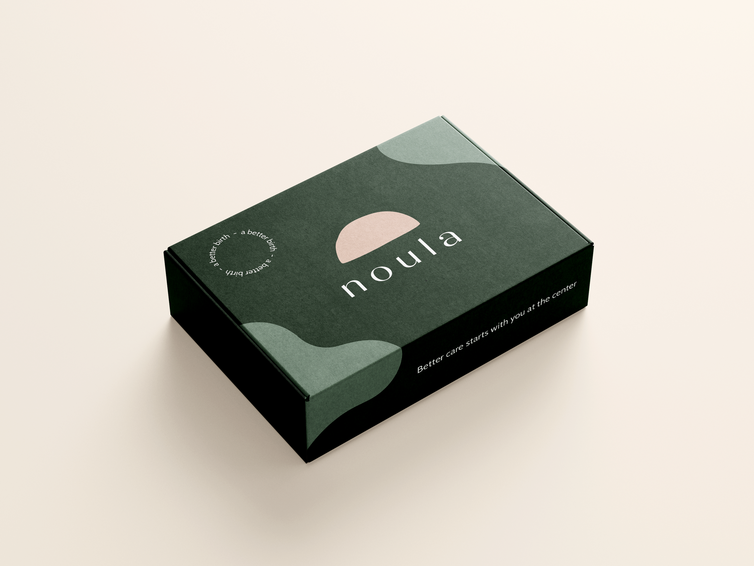 Mailer_Box_Mockup_1.png