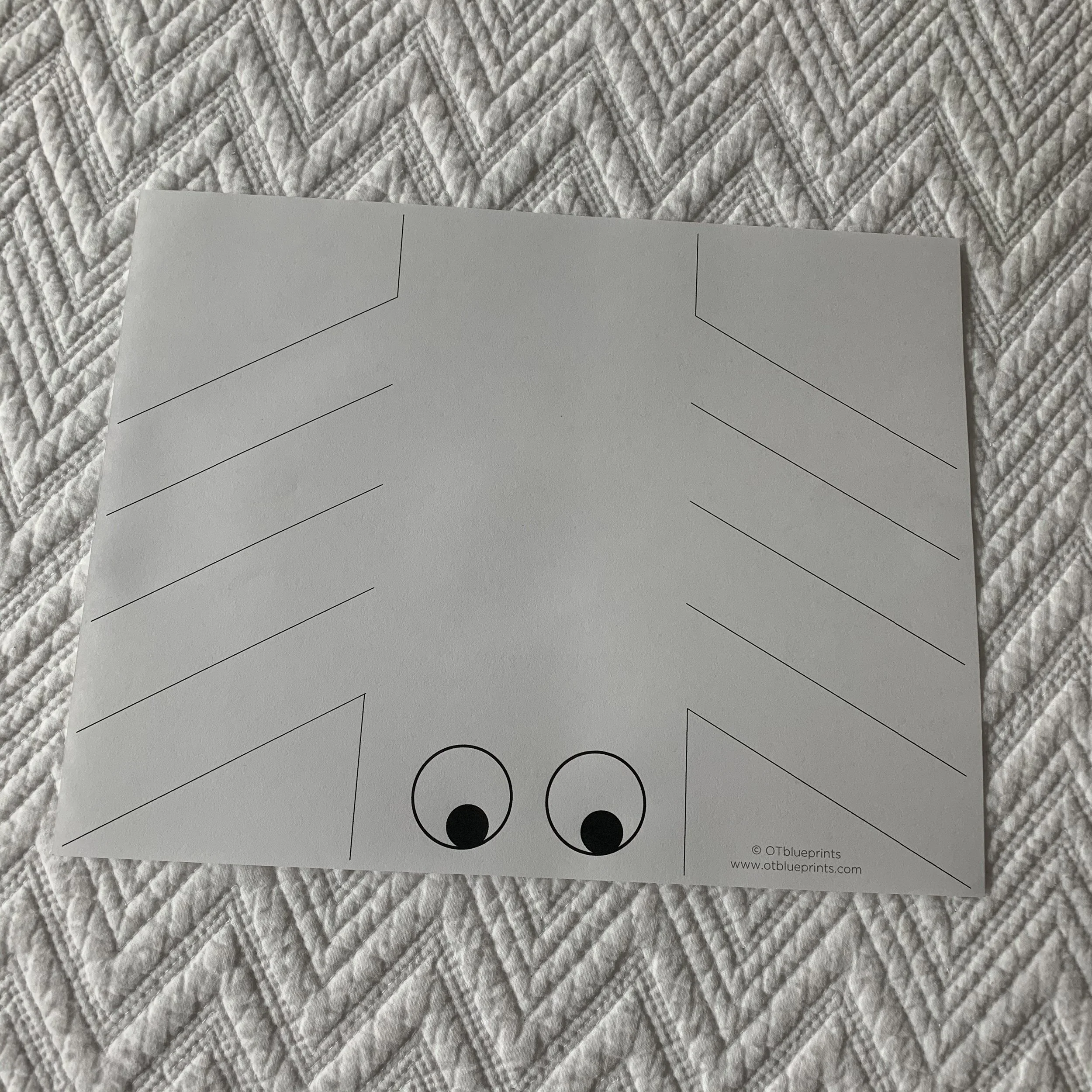 Spider Cutting Activity — OTblueprints