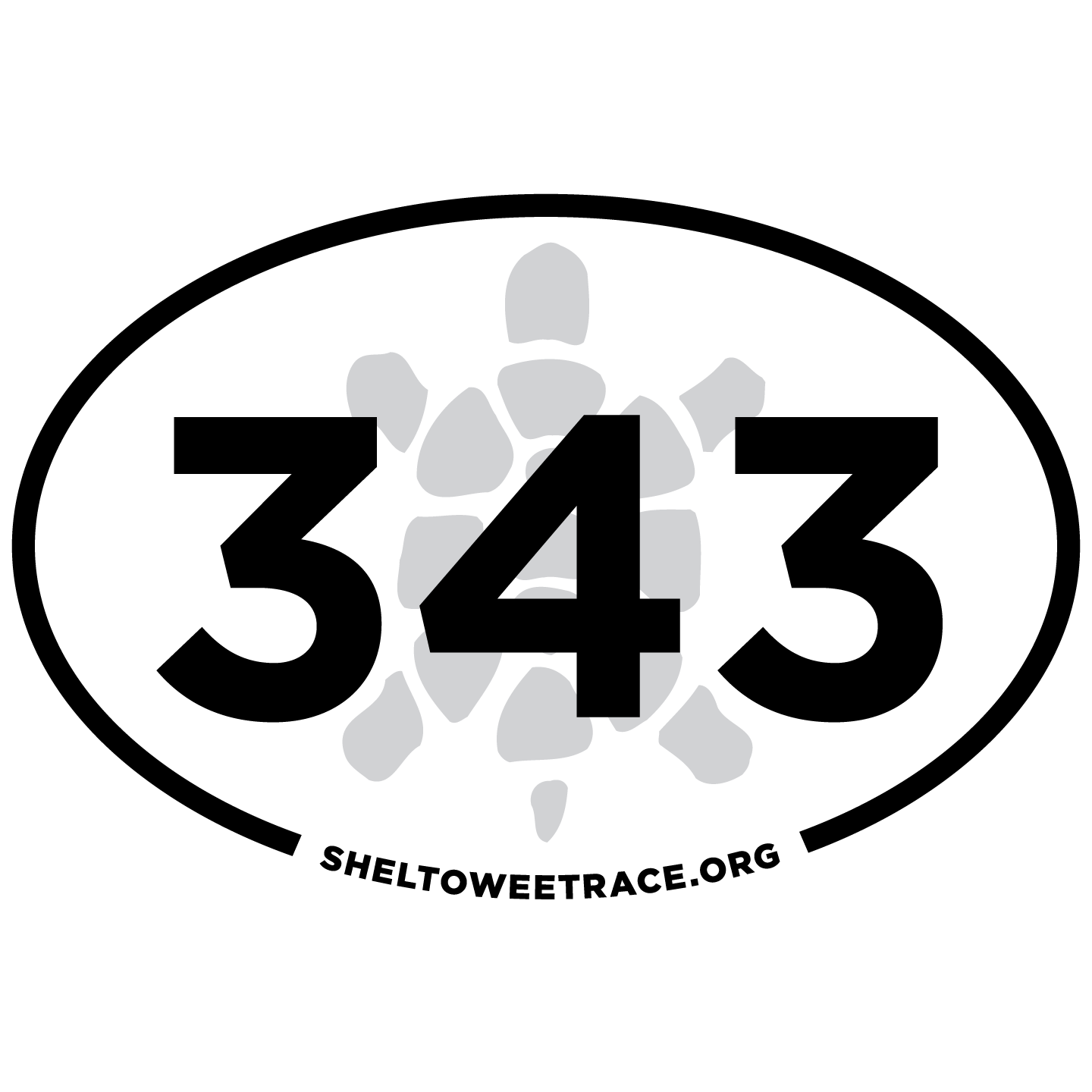 343 outlined.png