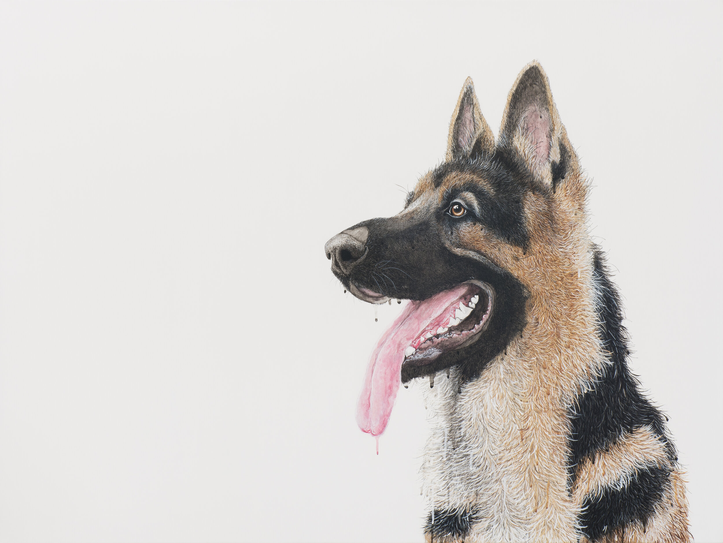 Rocky, Pen and acrylic on linen, 92x122
