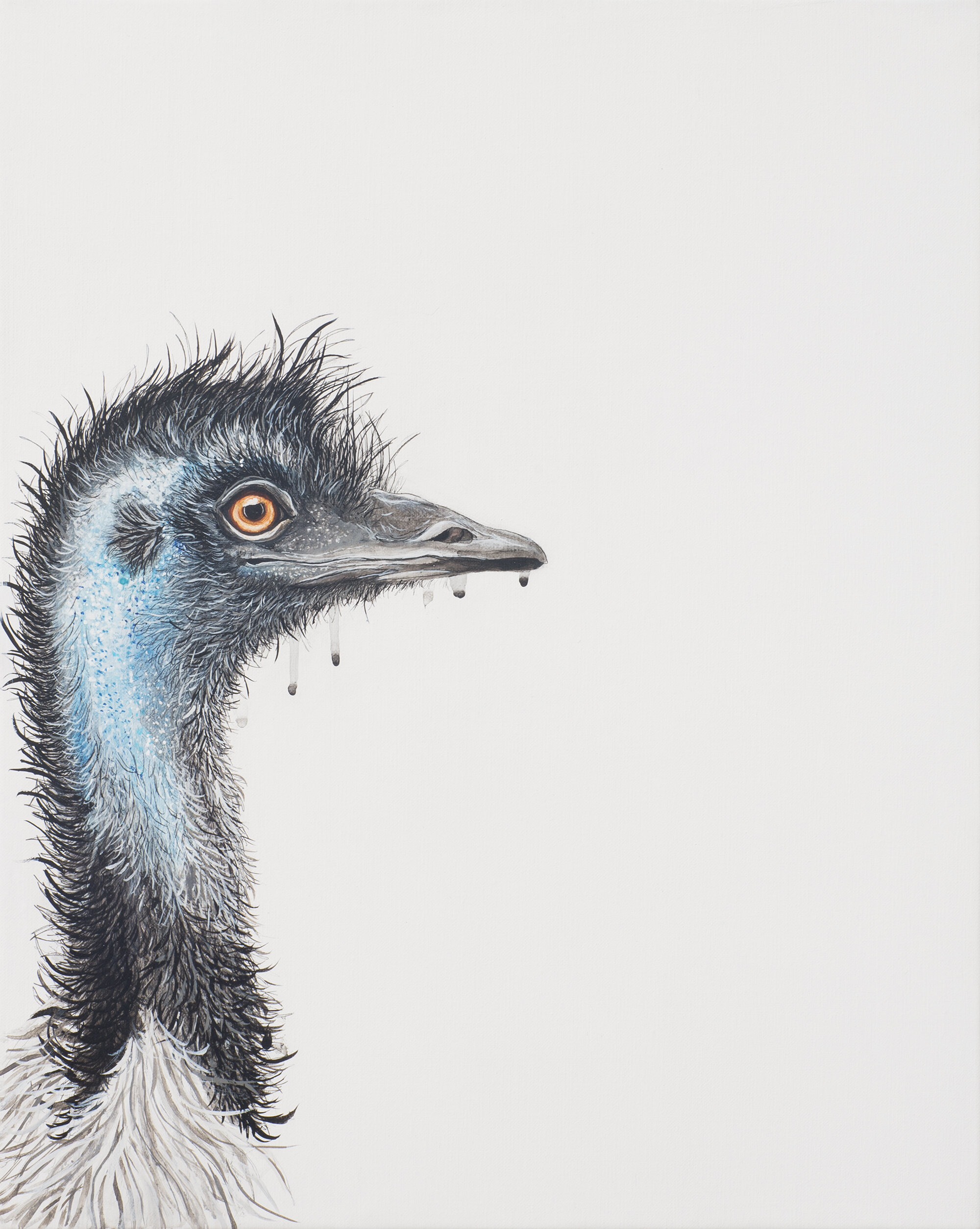Kidman Way Road Runner, pen and acrylic on linen, 51x41