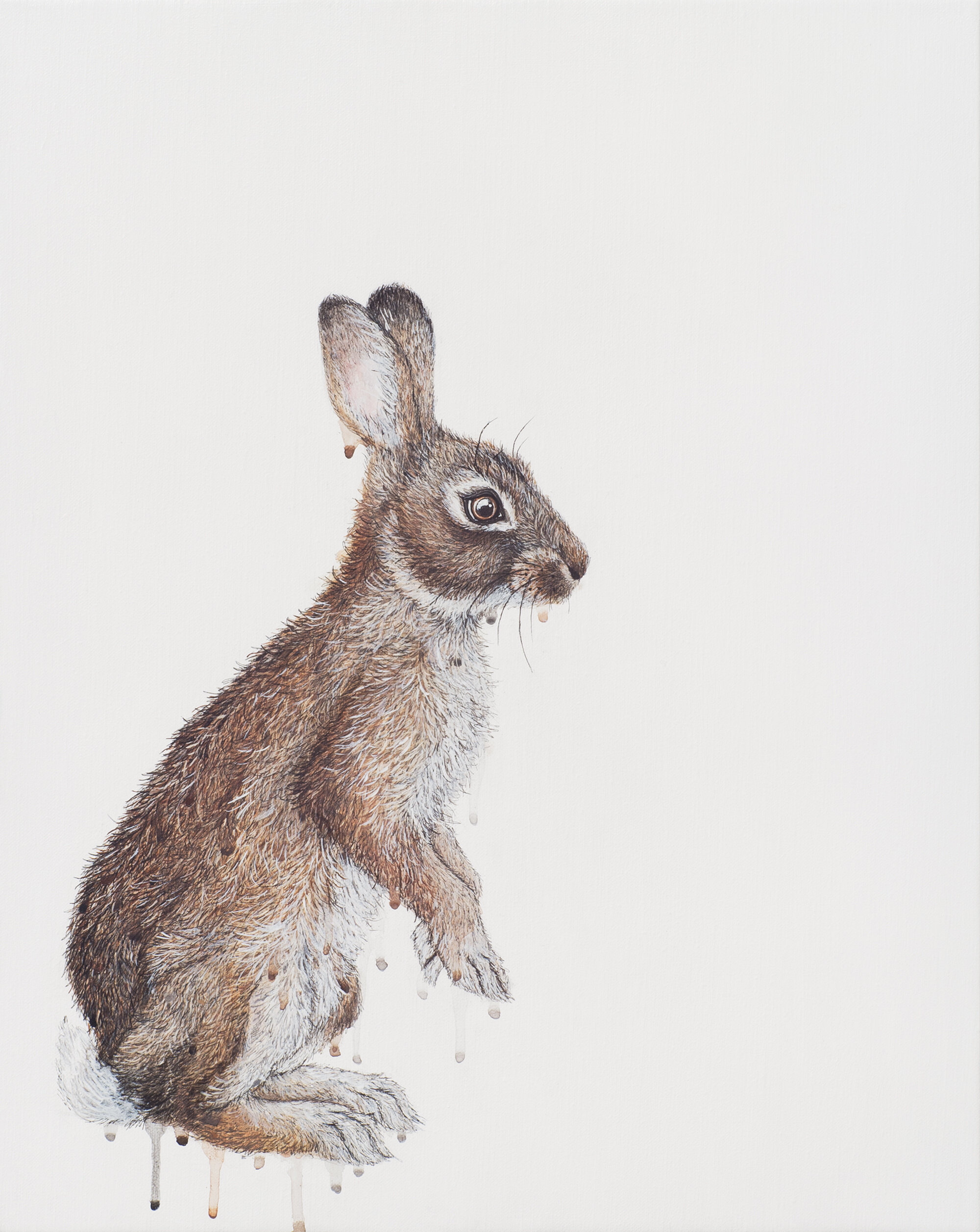 Mittagong, pen and acrylic on linen, 51x41