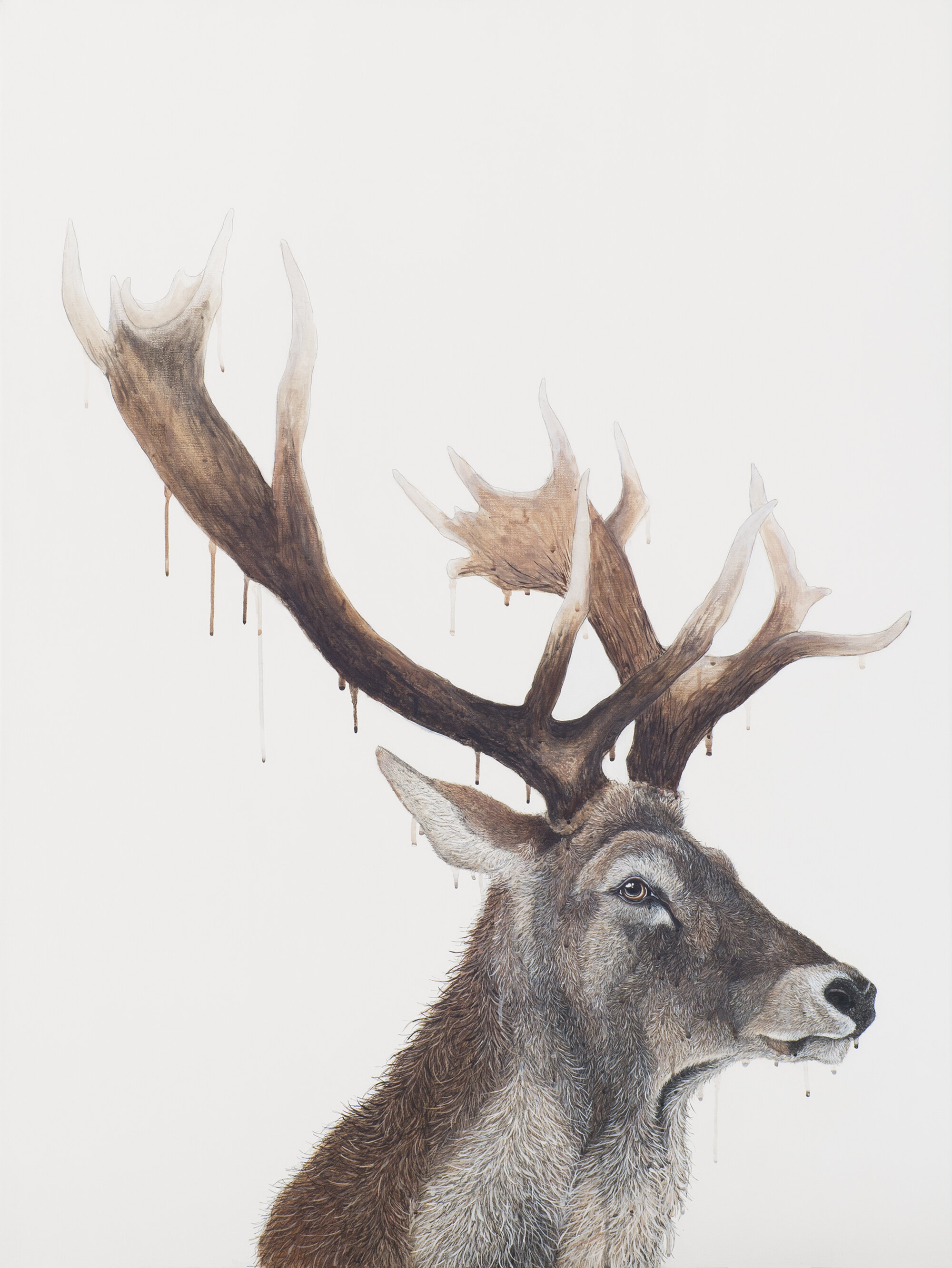 Eldrick, pen and acrylic on linen, 122x92