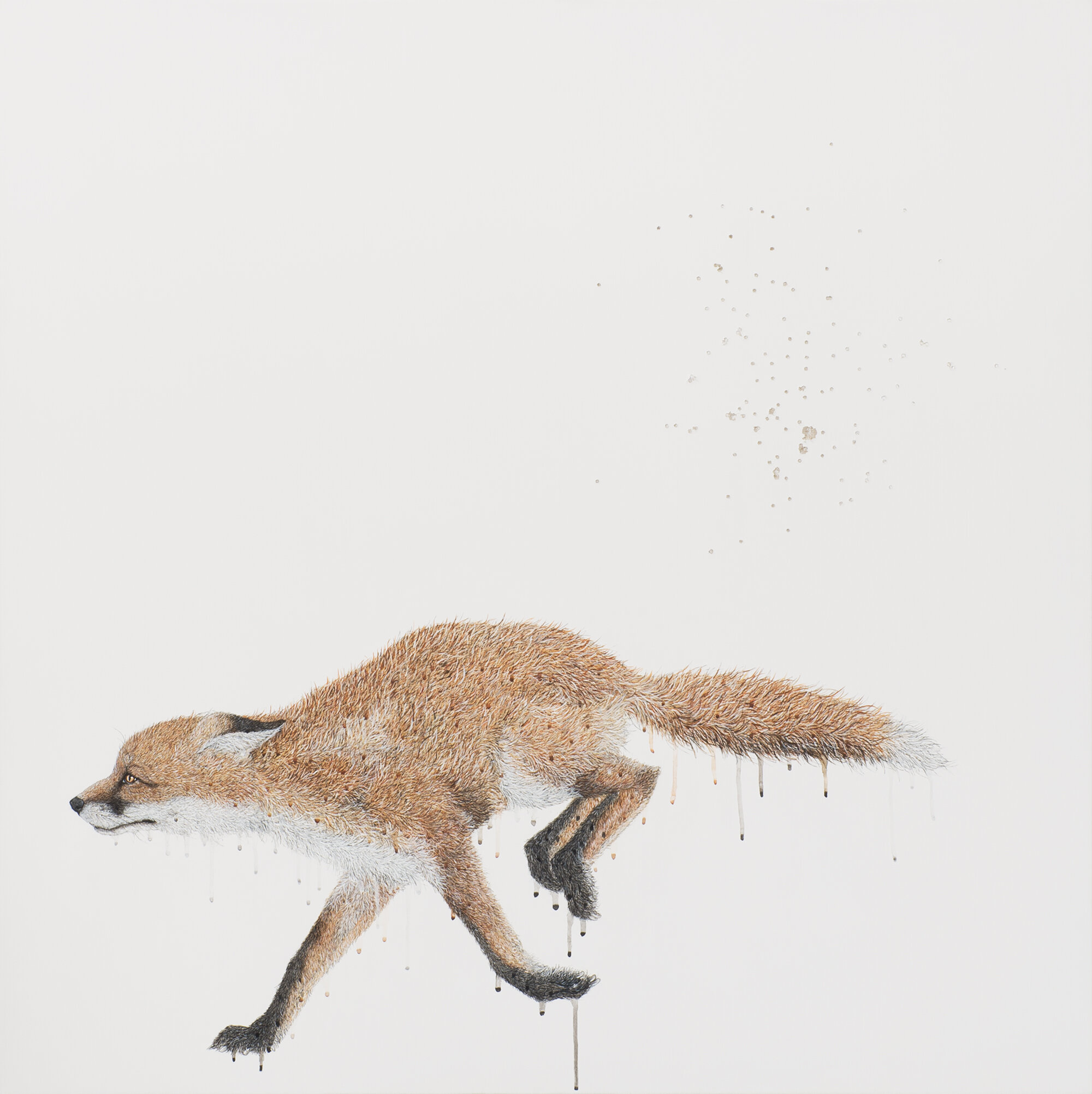 Harry Weston, pen, acrylic and shotgun holes on linen, 102x102
