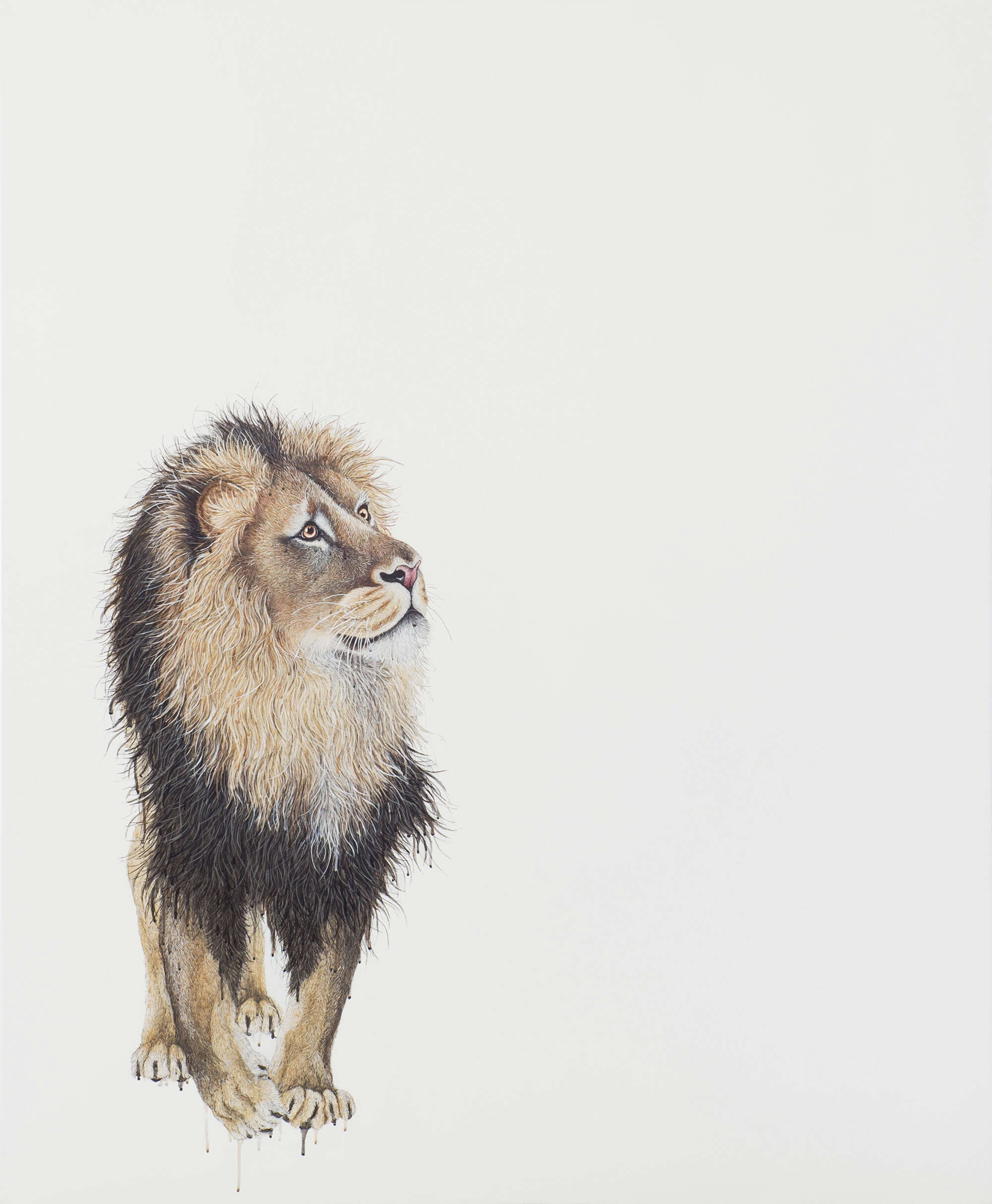 Sam I Am, pen and acrylic on linen, 168x138