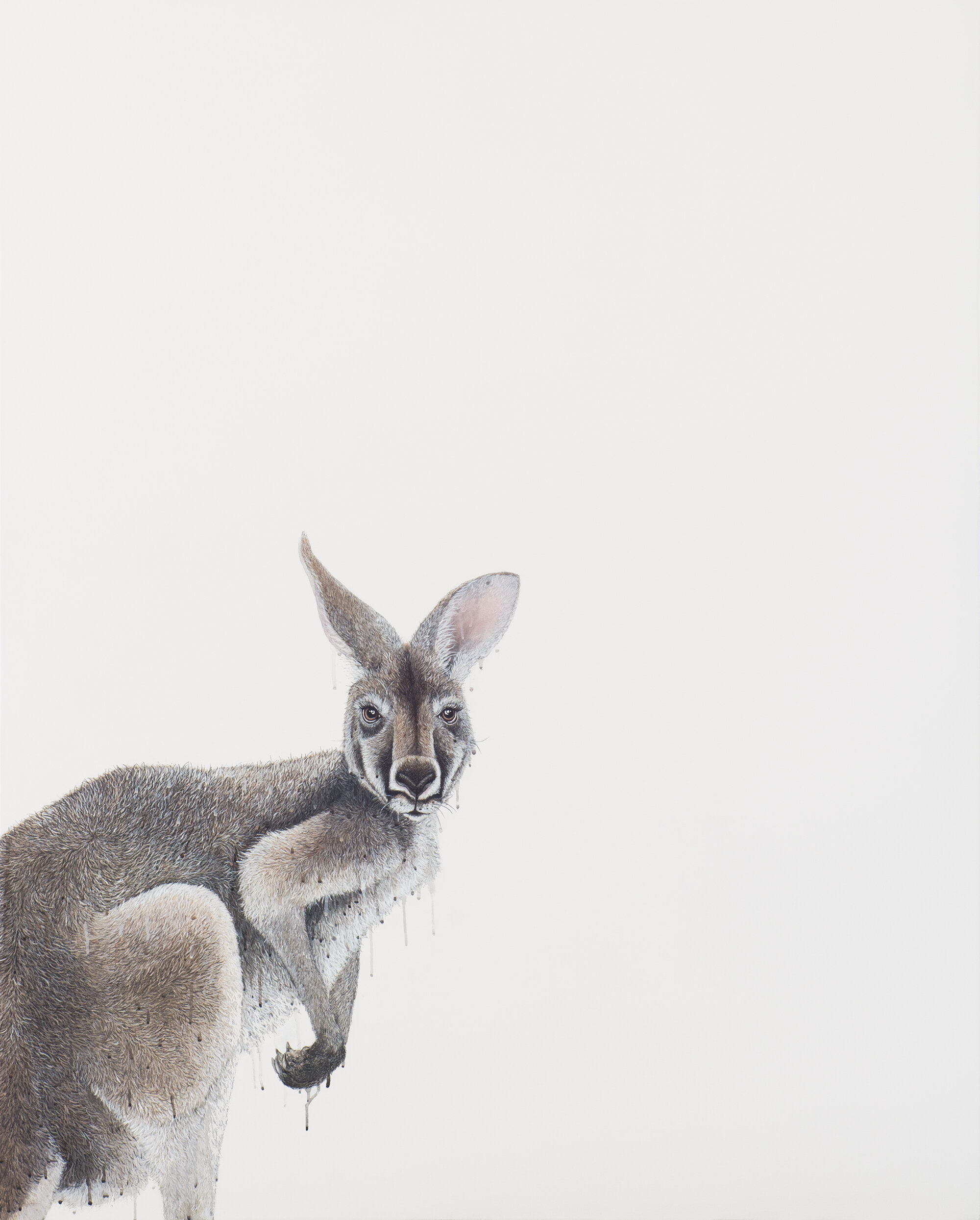 Benerembah, pen and acrylic on linen, 153x122