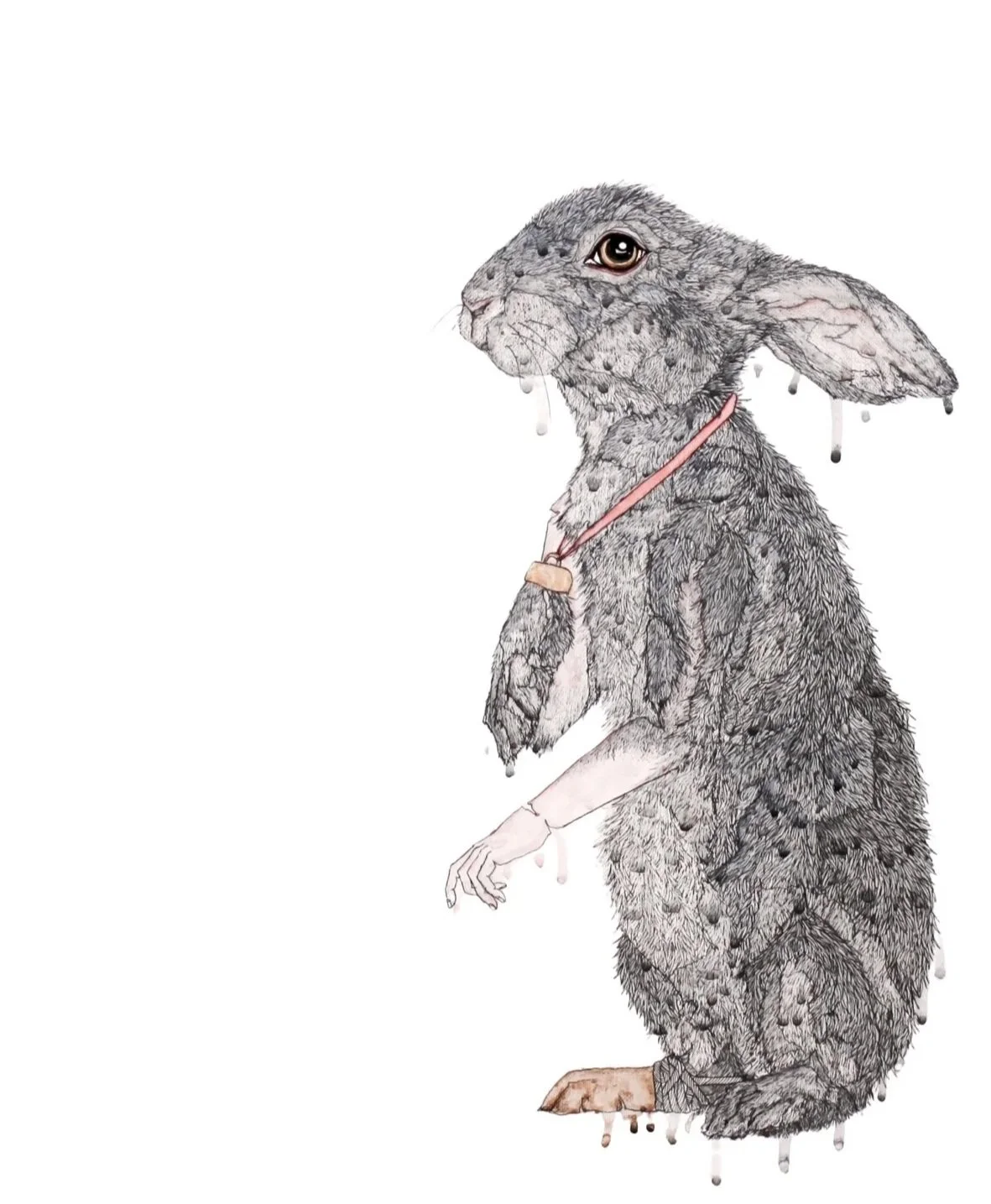 

Lucky 2014 Pen, ink and watercolour on linen 61x50cm