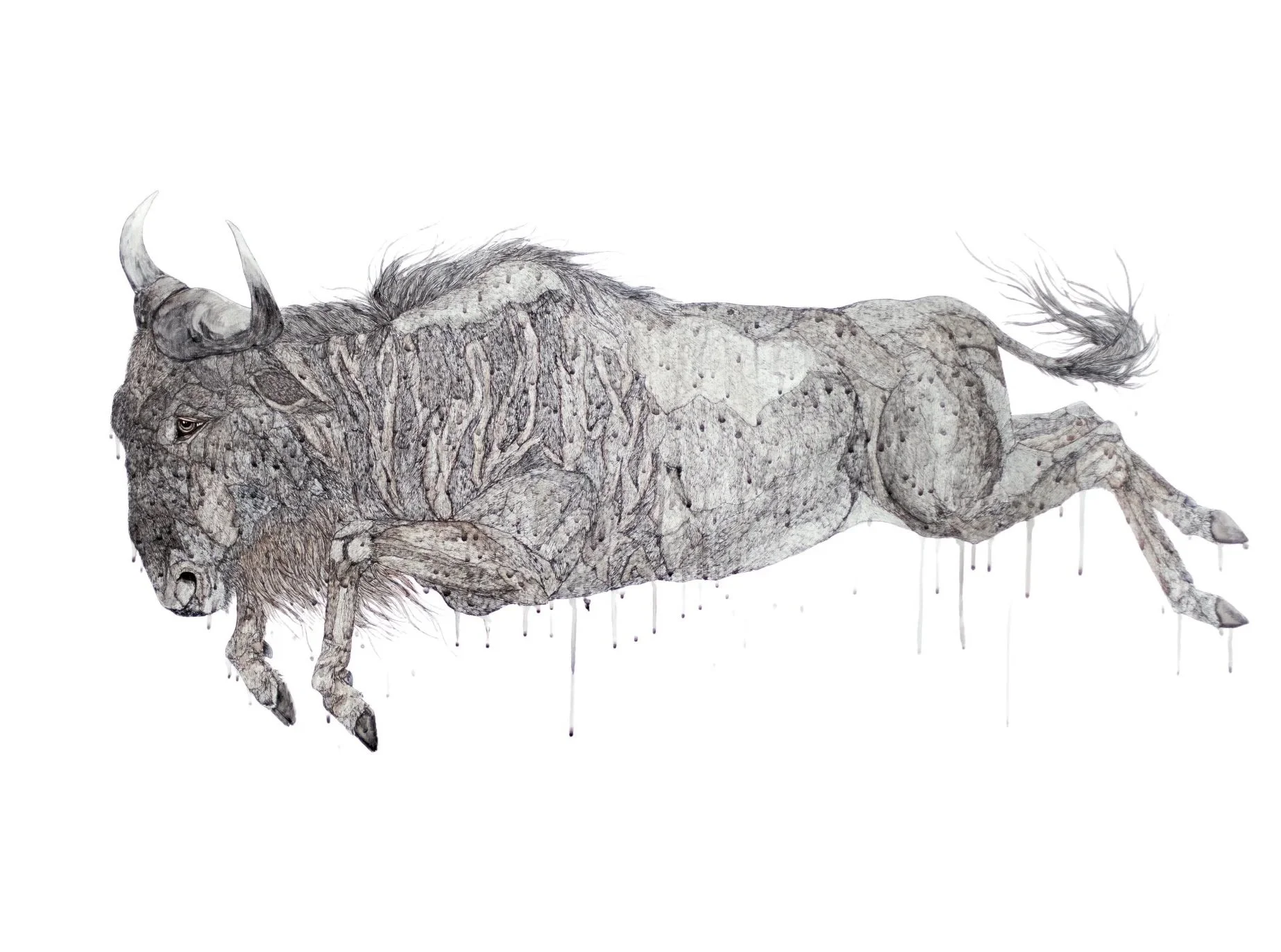 

Icarus 2014