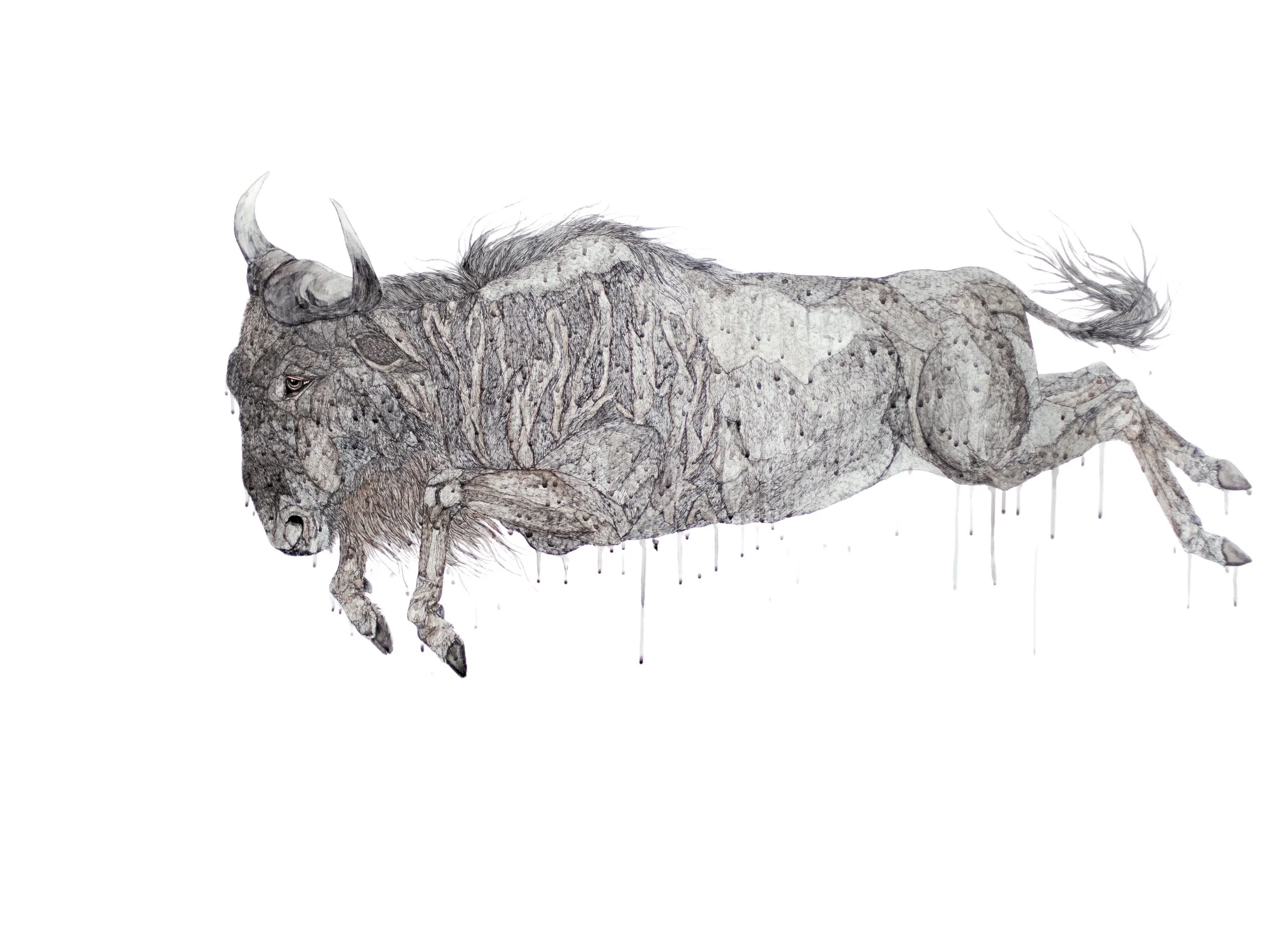 

Icarus 2014