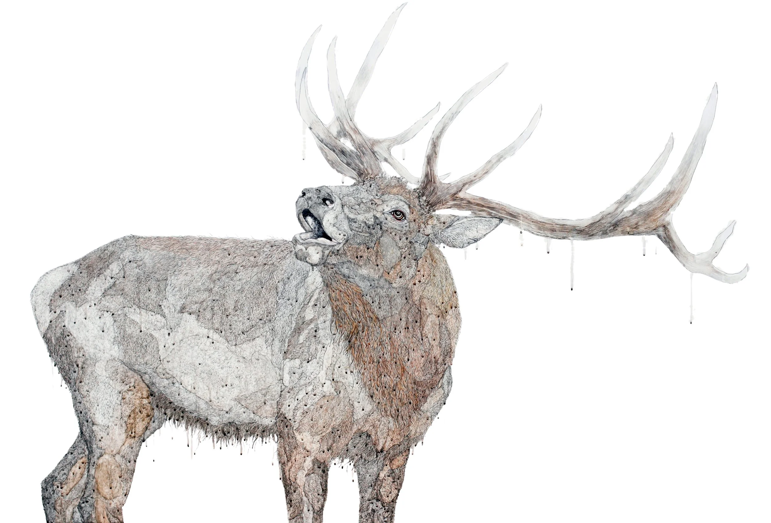 

Parvenu 2014 Pen, ink and watercolour on canvas 110x167cm