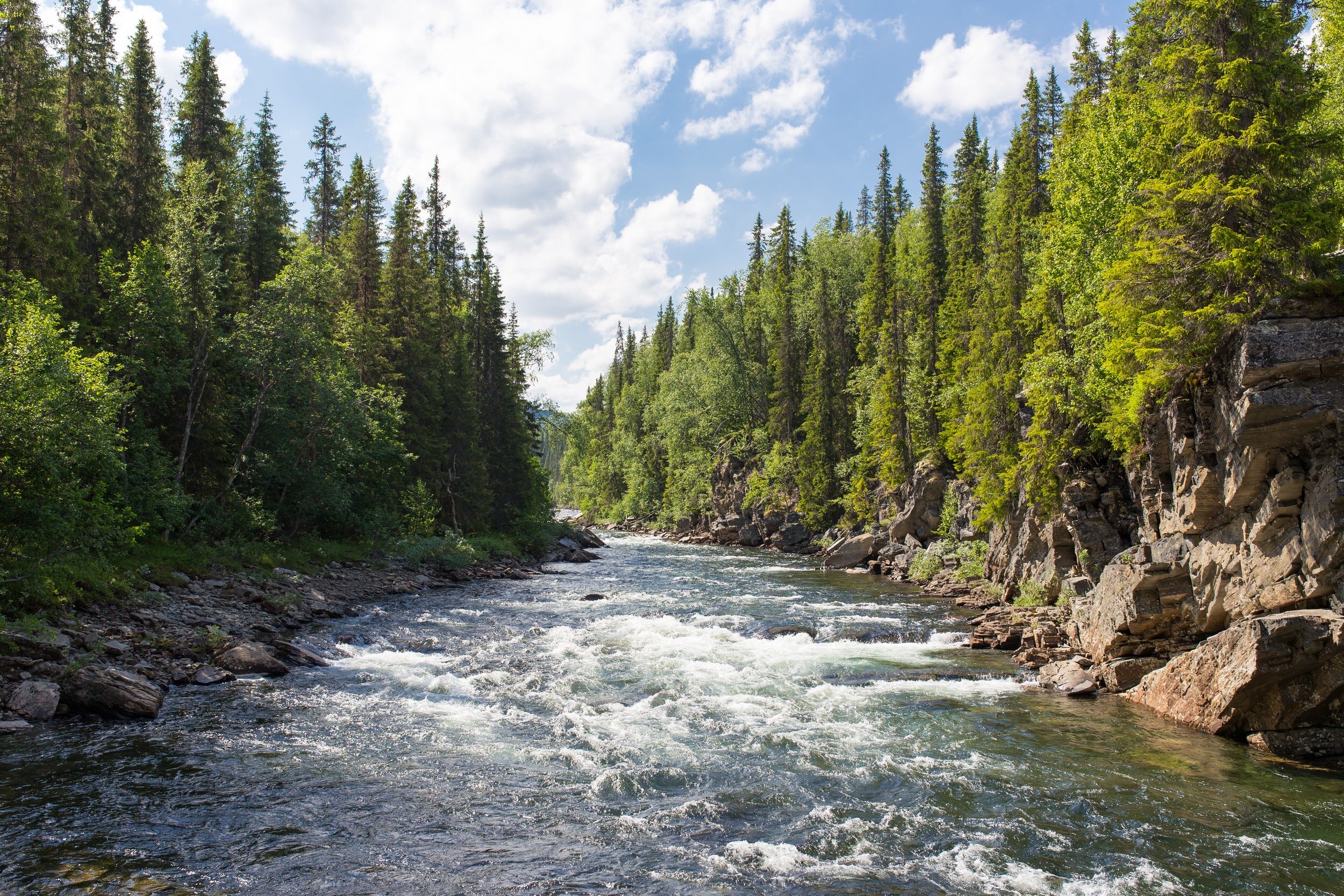Craw Park Capital Reports May 2021 Returns of +5.45% In Fifth Month of Operations
