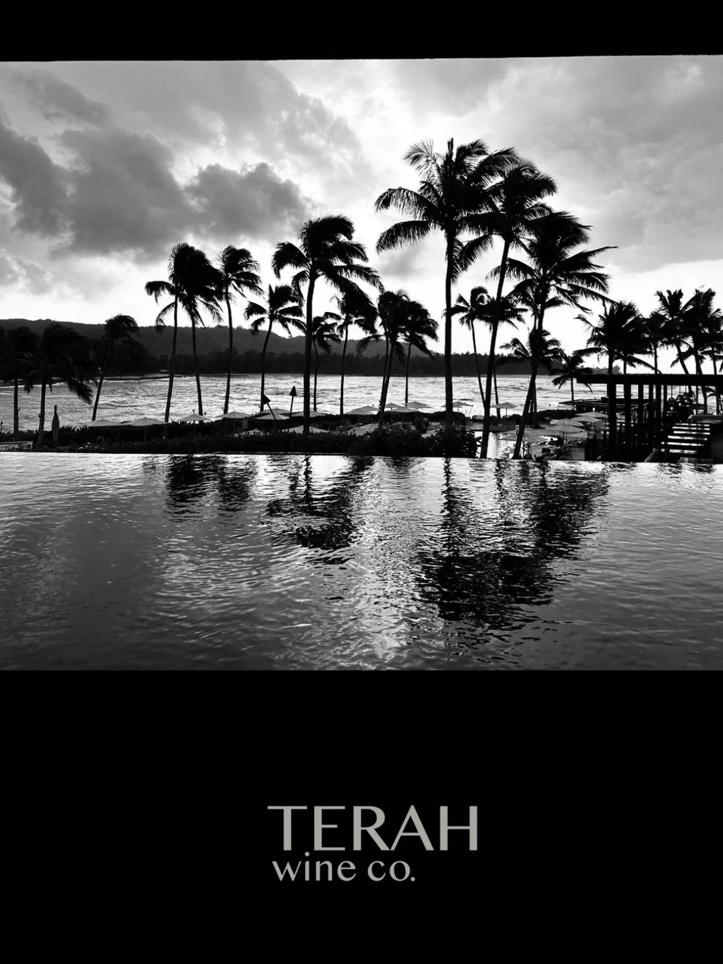 We&rsquo;re on the hunt for black &amp; white photography that stops the scroll. 🖤

We&rsquo;re building something new at Terah Wine Co. &mdash; and we want your vision to be part of it.

Submit in one category or all four:
🌊 Coastal Landscapes
✈️ 