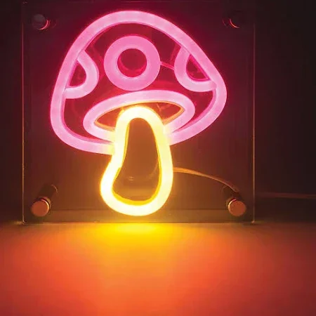 acrylic light.webp