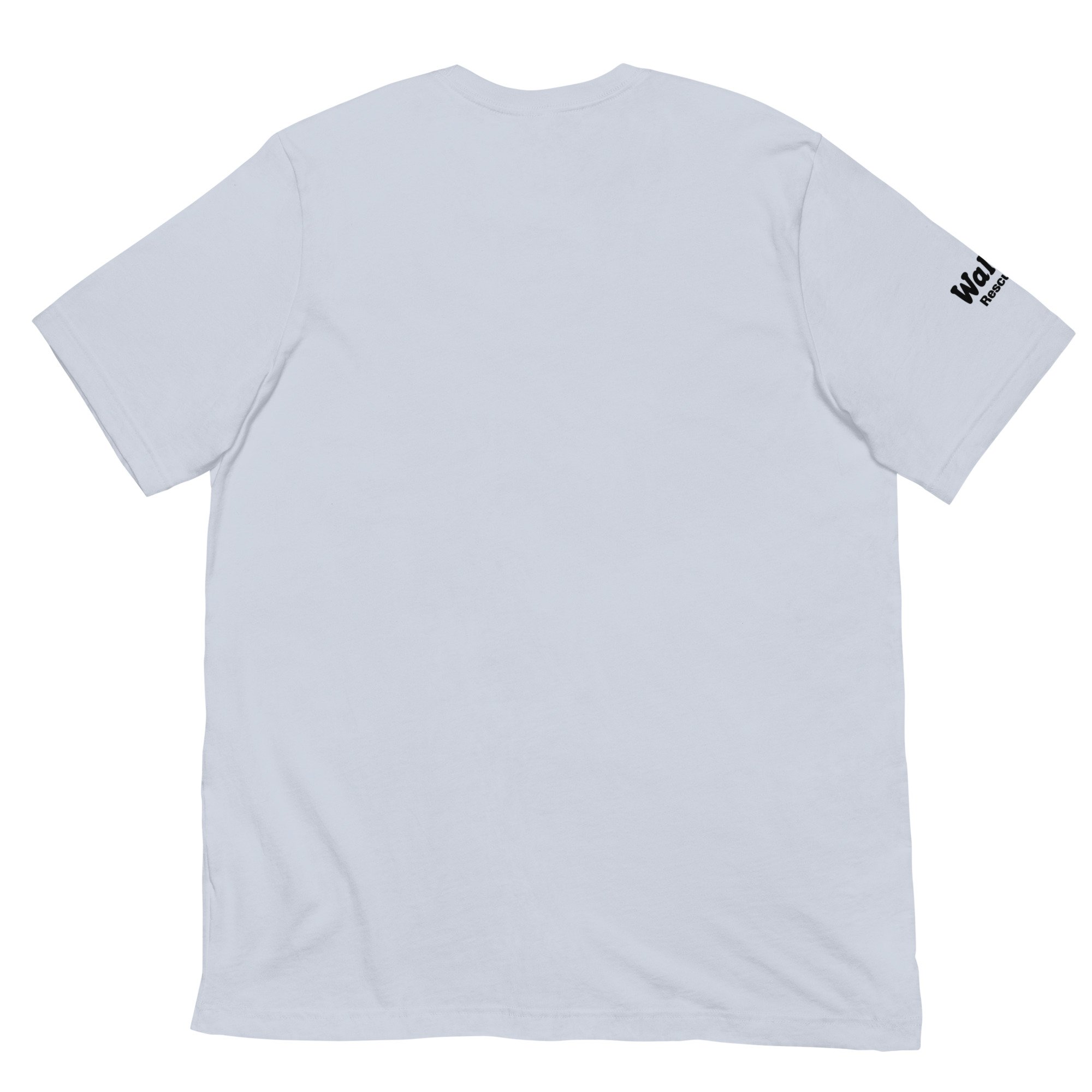 unisex-staple-t-shirt-light-blue-back-686fb9e9e83cc.jpg