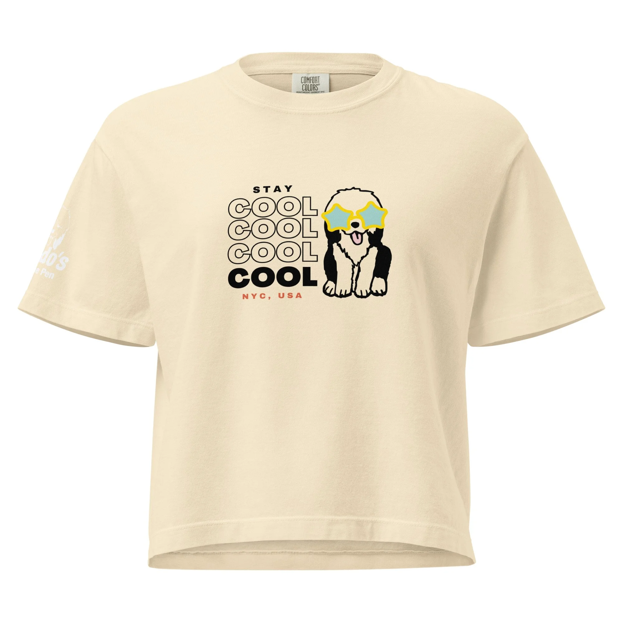 womens-heavyweight-boxy-t-shirt-ivory-front-688685a17c2f9.jpg