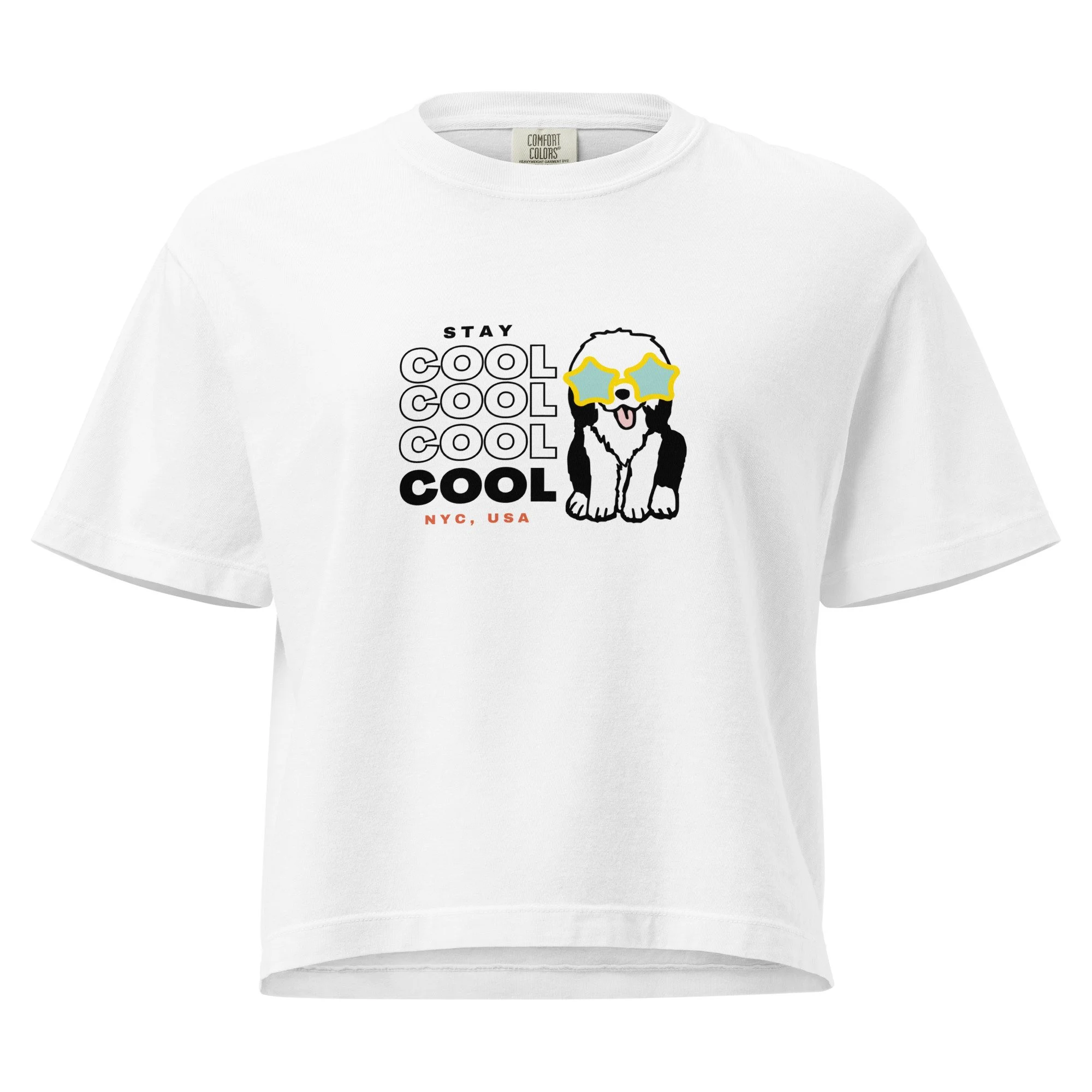 womens-heavyweight-boxy-t-shirt-white-front-688685a17c86a.jpg